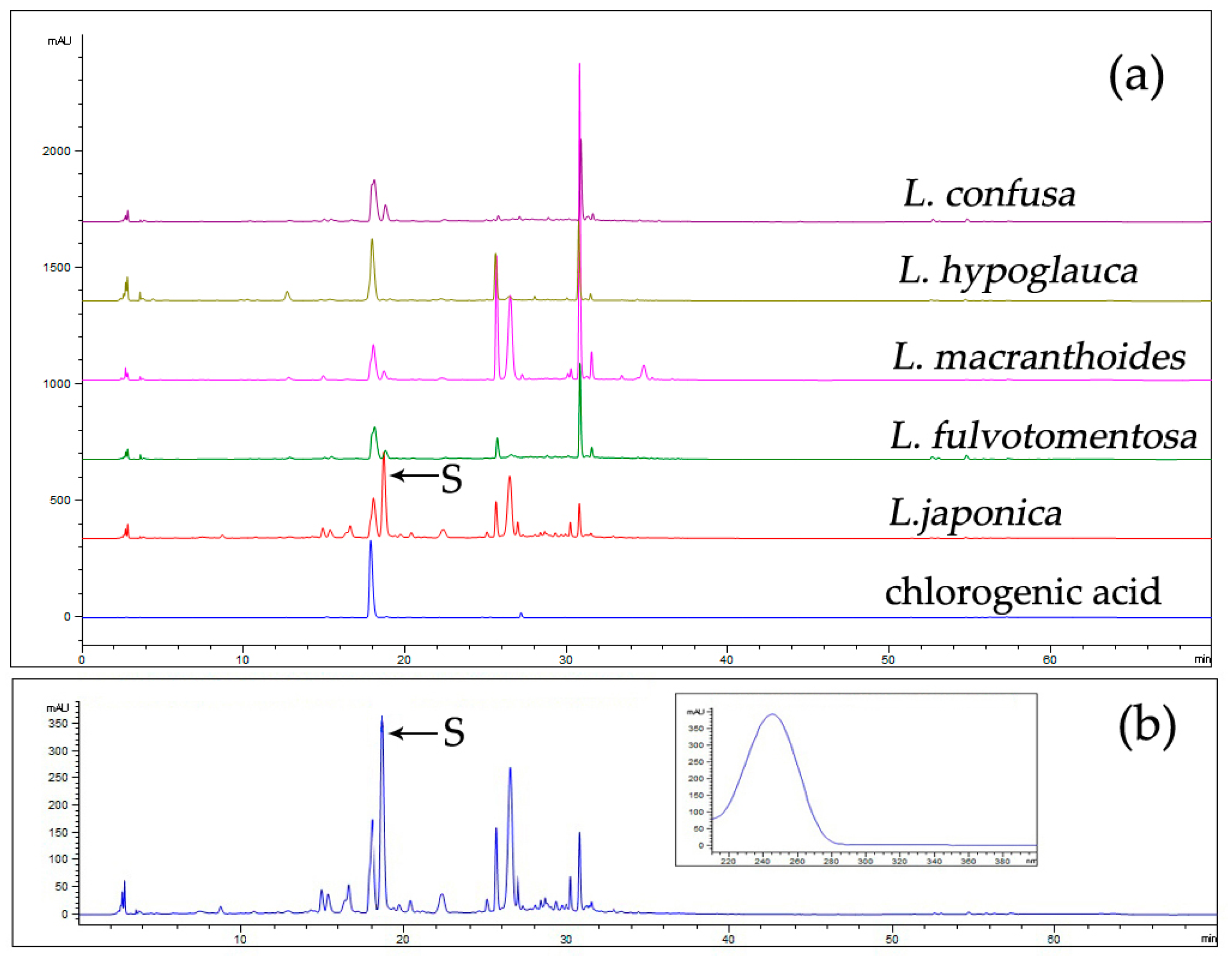 Molecules 24 03455 g002 Molecules 24 03455 g002