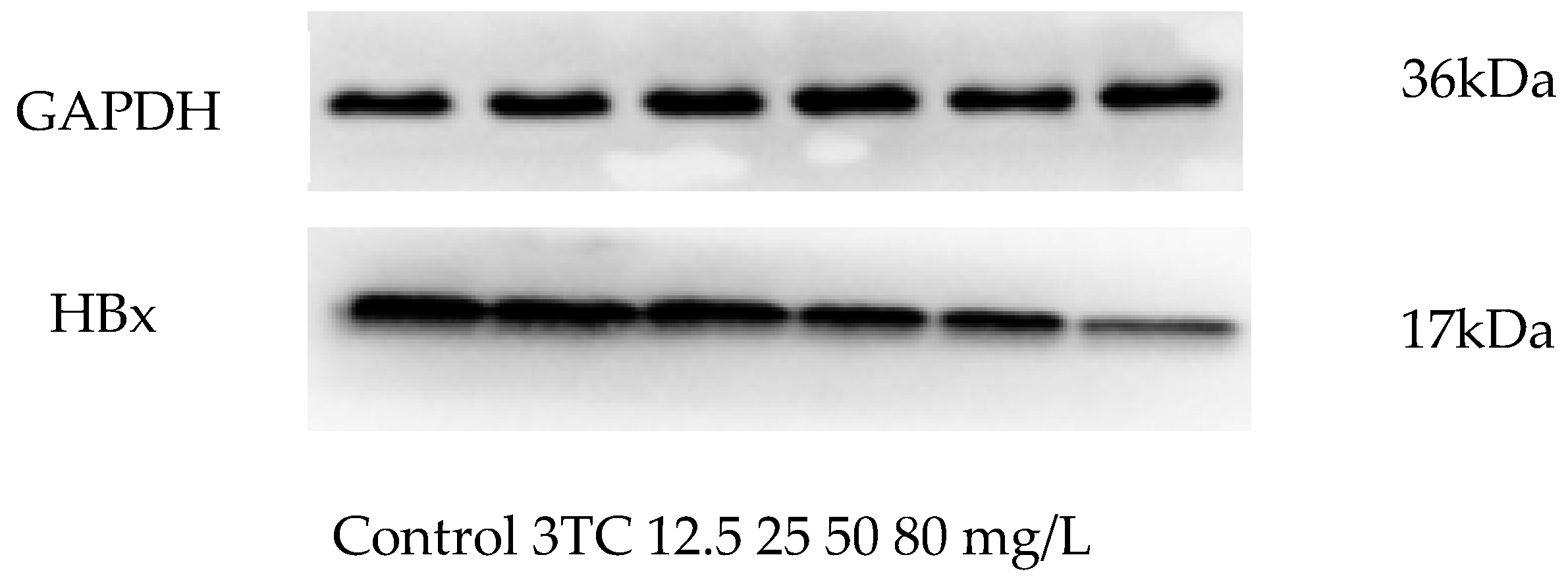 Molecules 24 03475 g006
