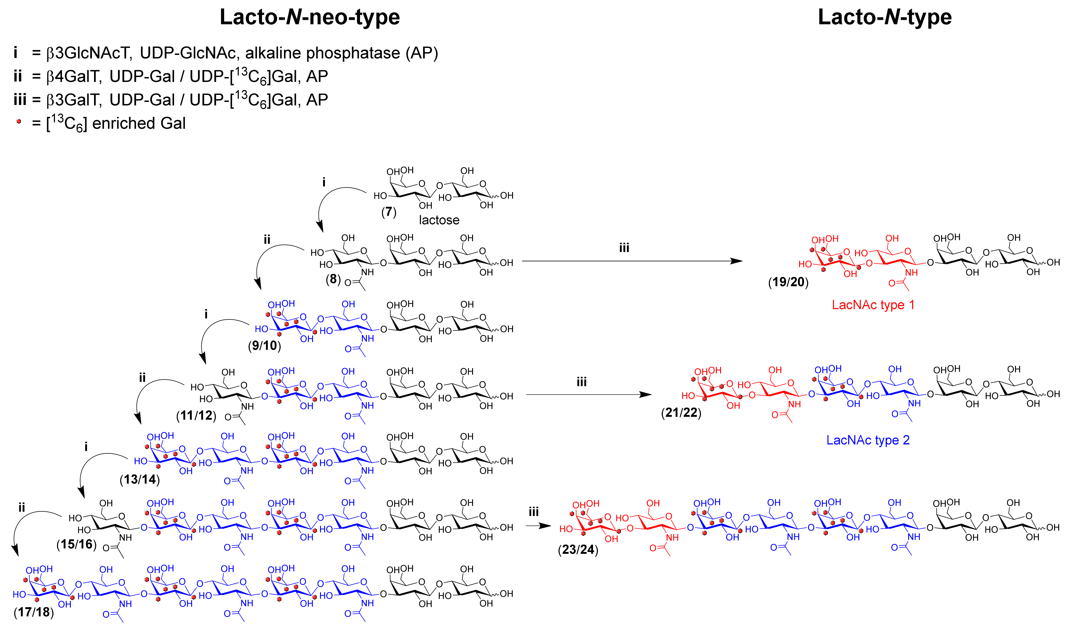 Molecules 24 03482 sch002