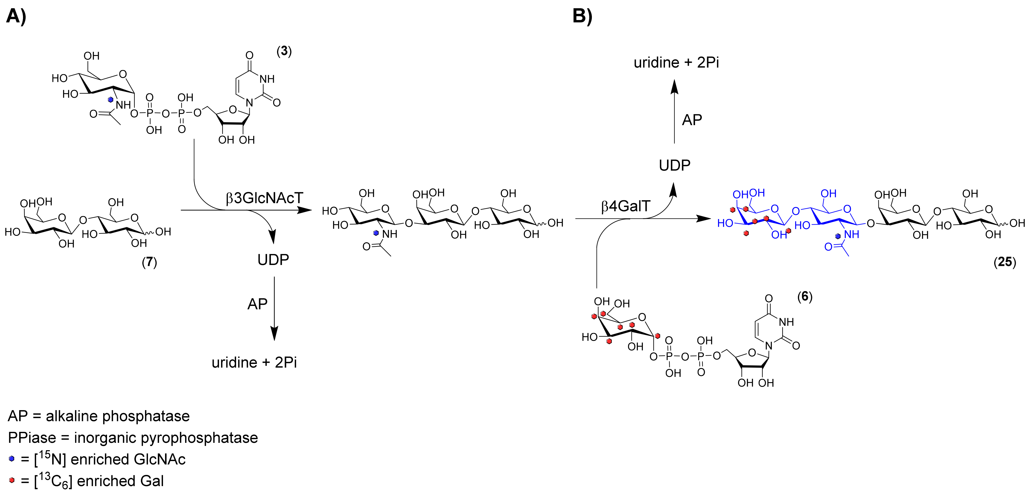 Molecules 24 03482 sch003