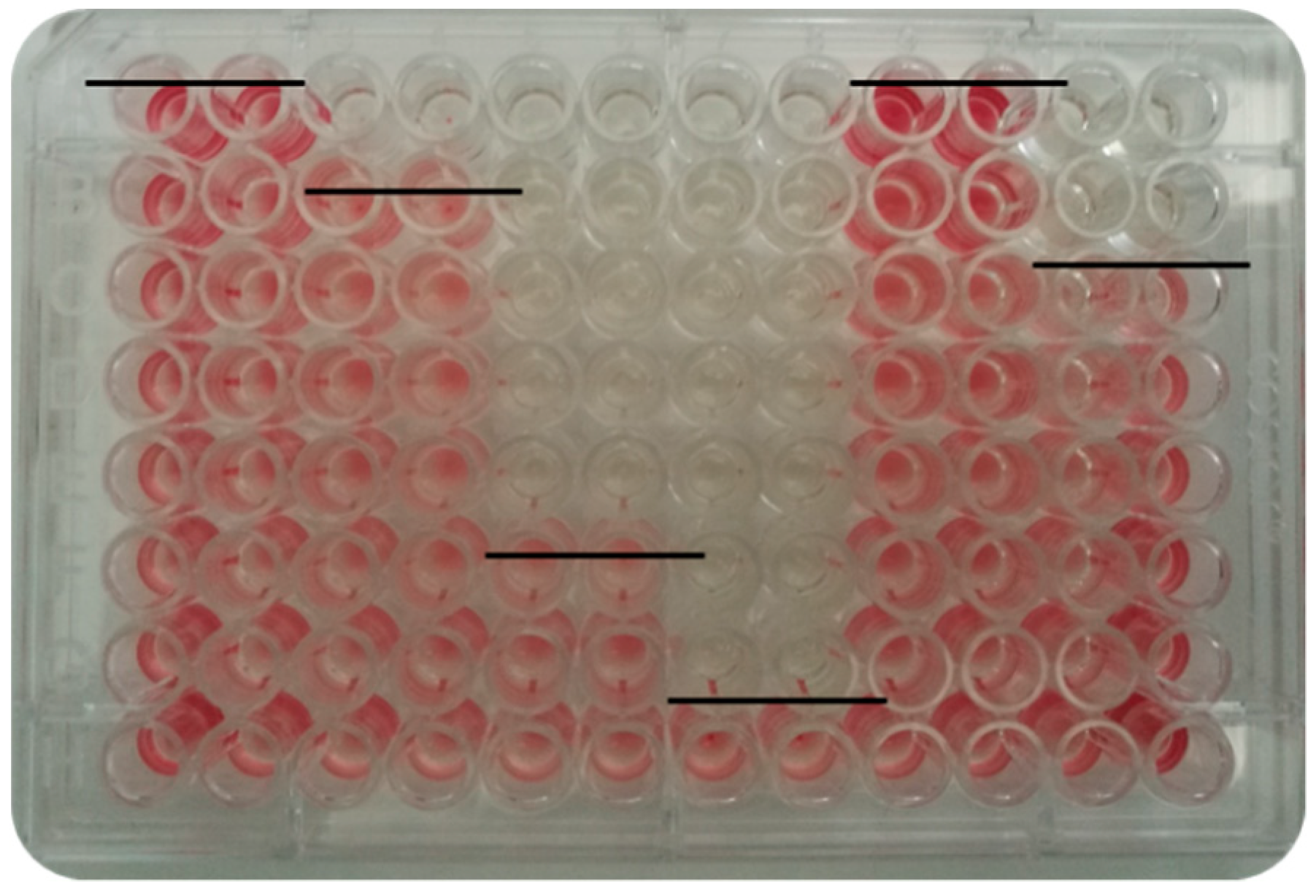 Molecules 24 03484 g001