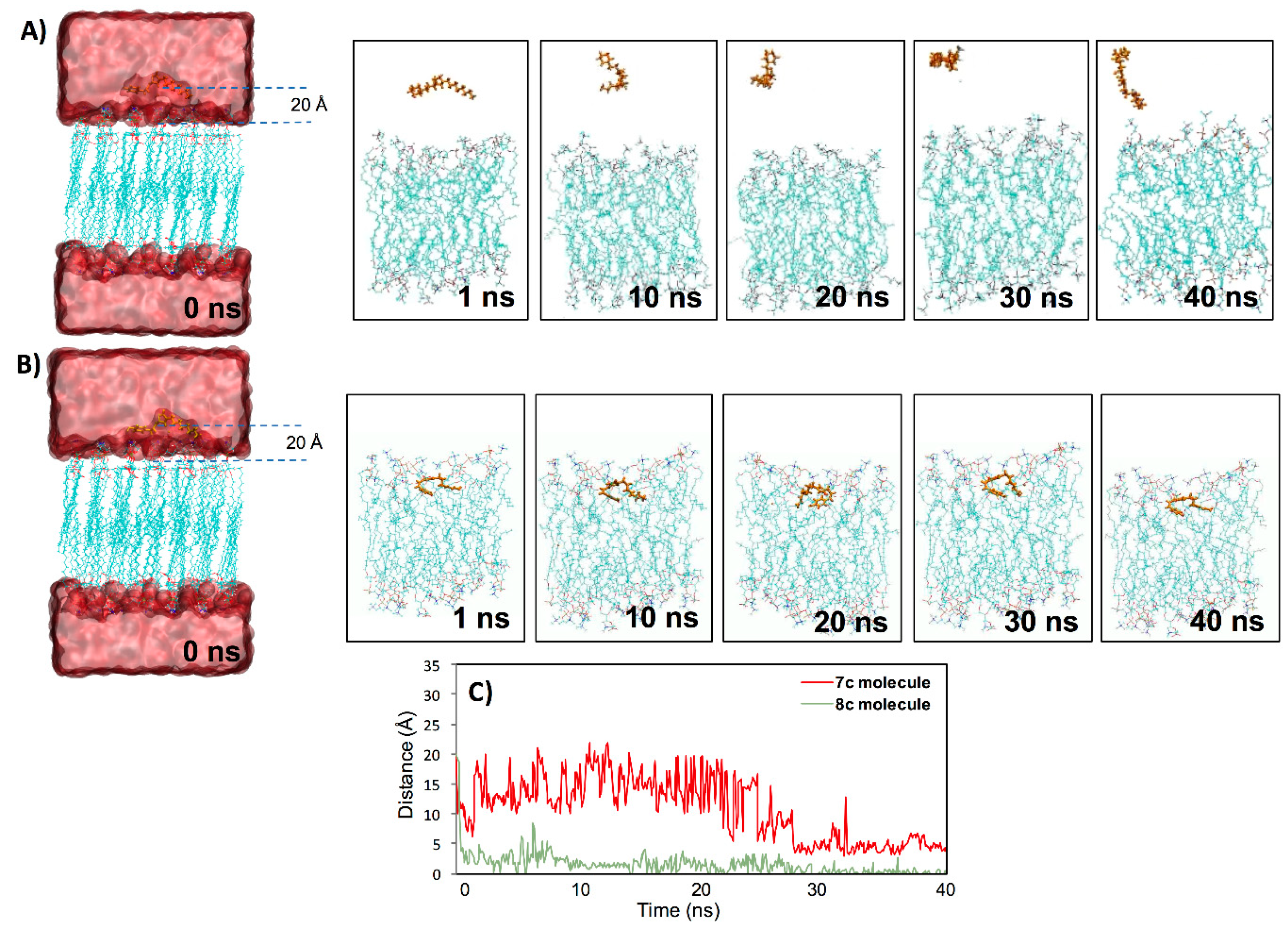 Molecules 24 03484 g002