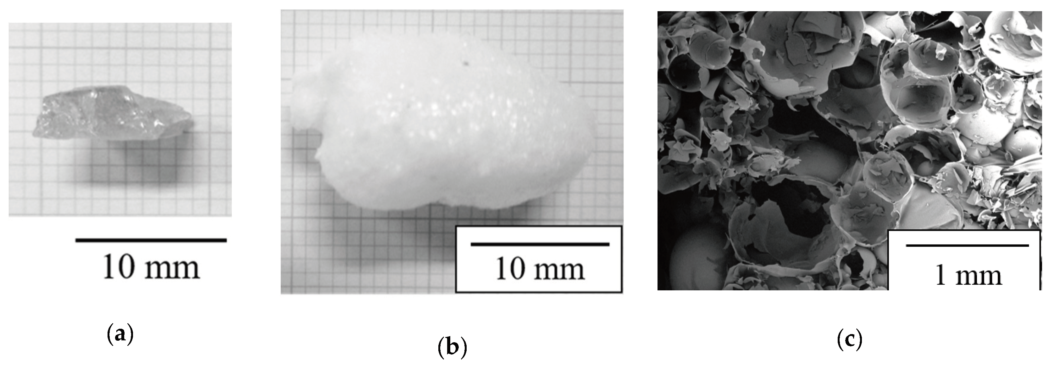 Molecules 24 03488 g001