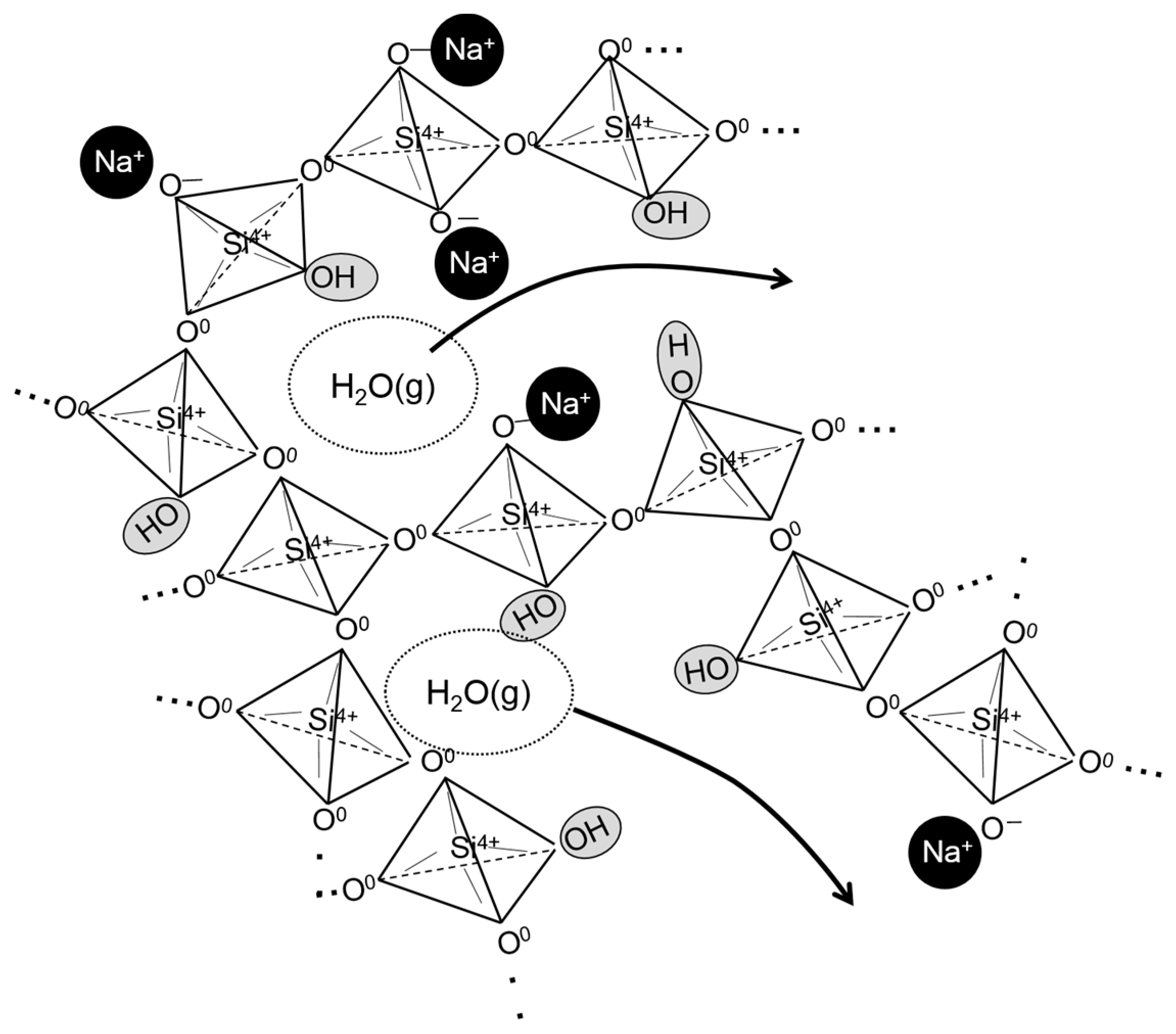 Molecules 24 03488 g005