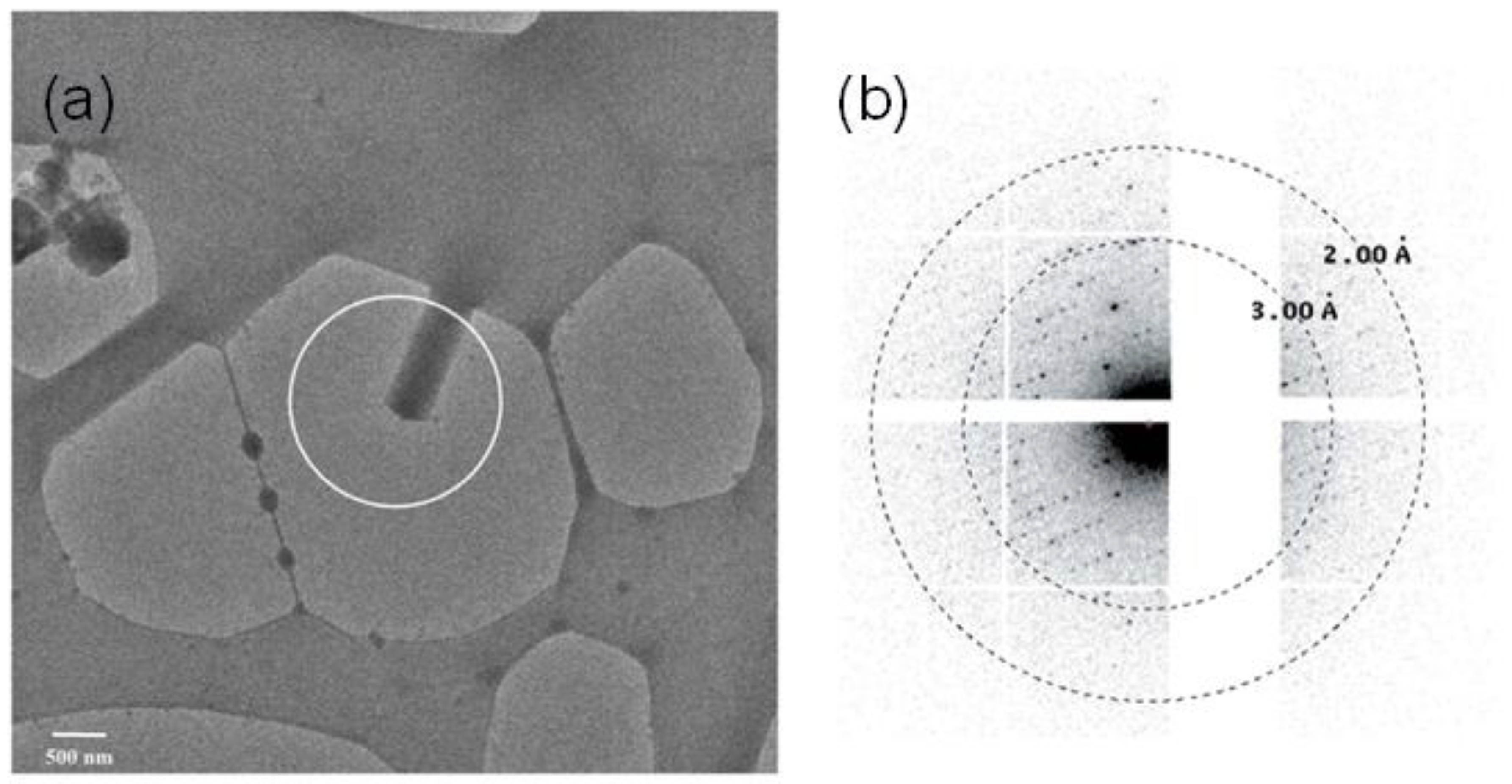 Molecules 24 03490 g002 Molecules 24 03490 g002