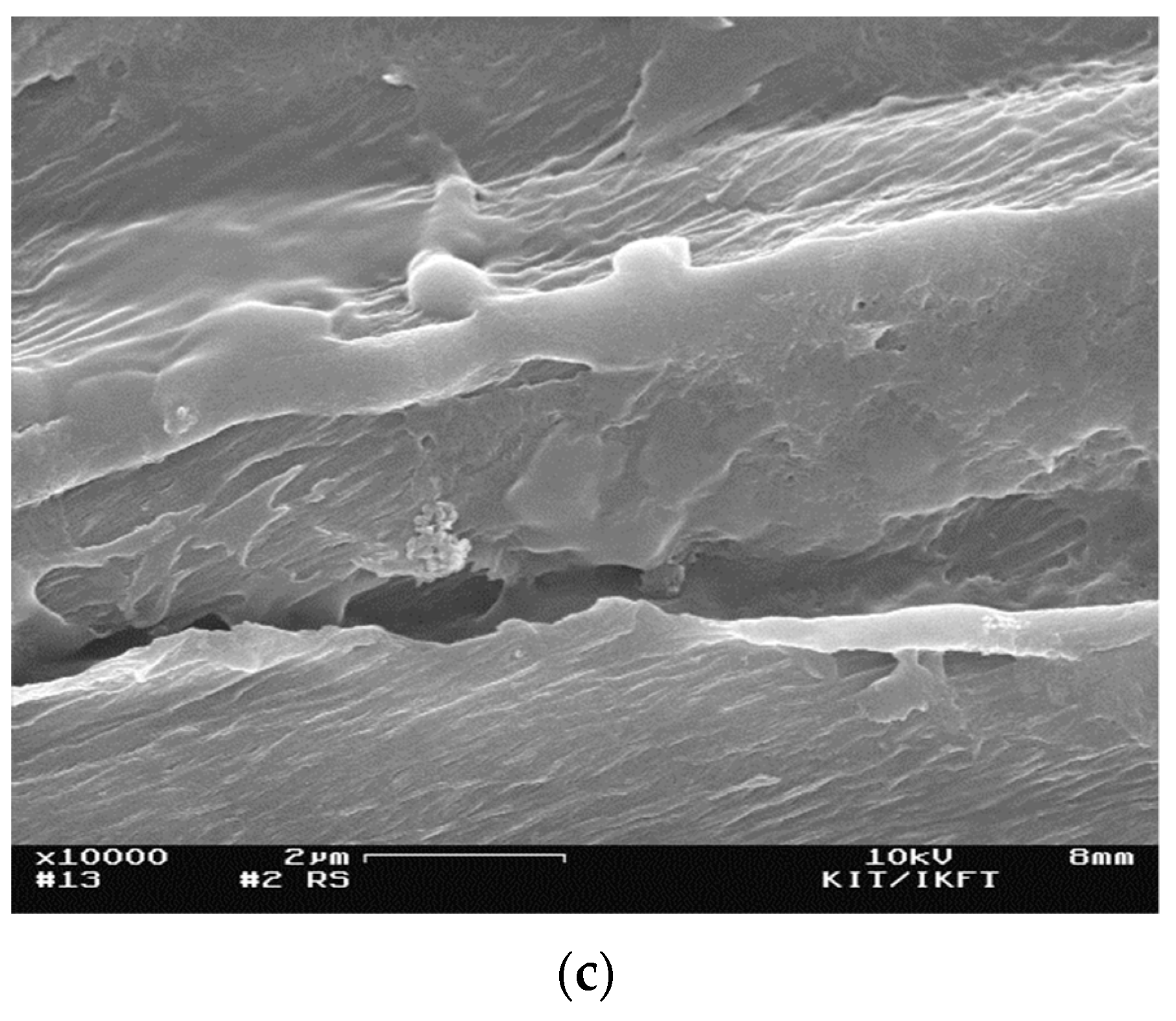 Molecules 24 03492 g005b