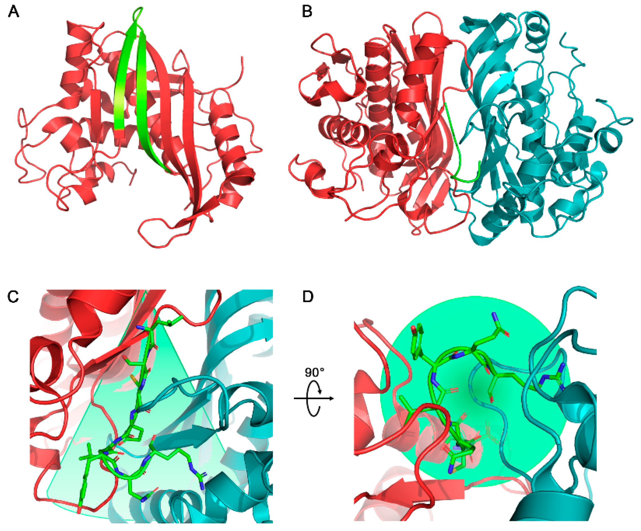 Molecules 24 03493 g001 Molecules 24 03493 g001
