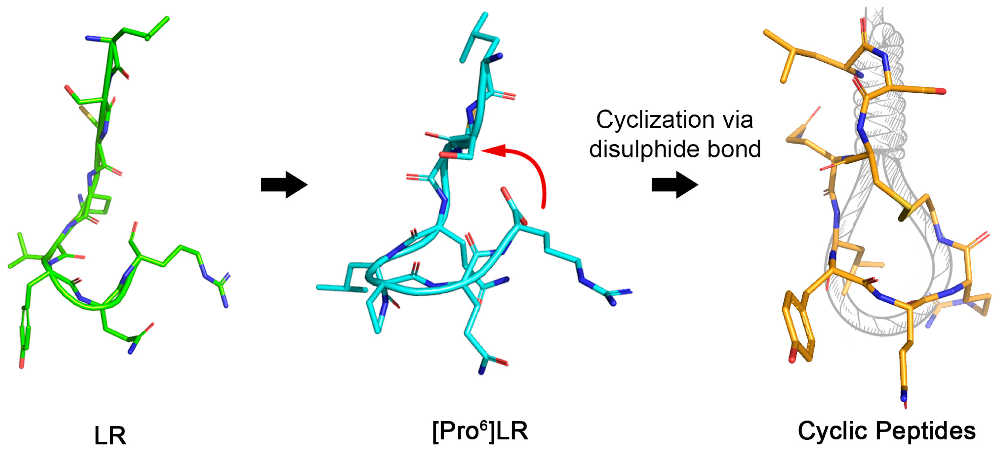 Molecules 24 03493 g002 Molecules 24 03493 g002