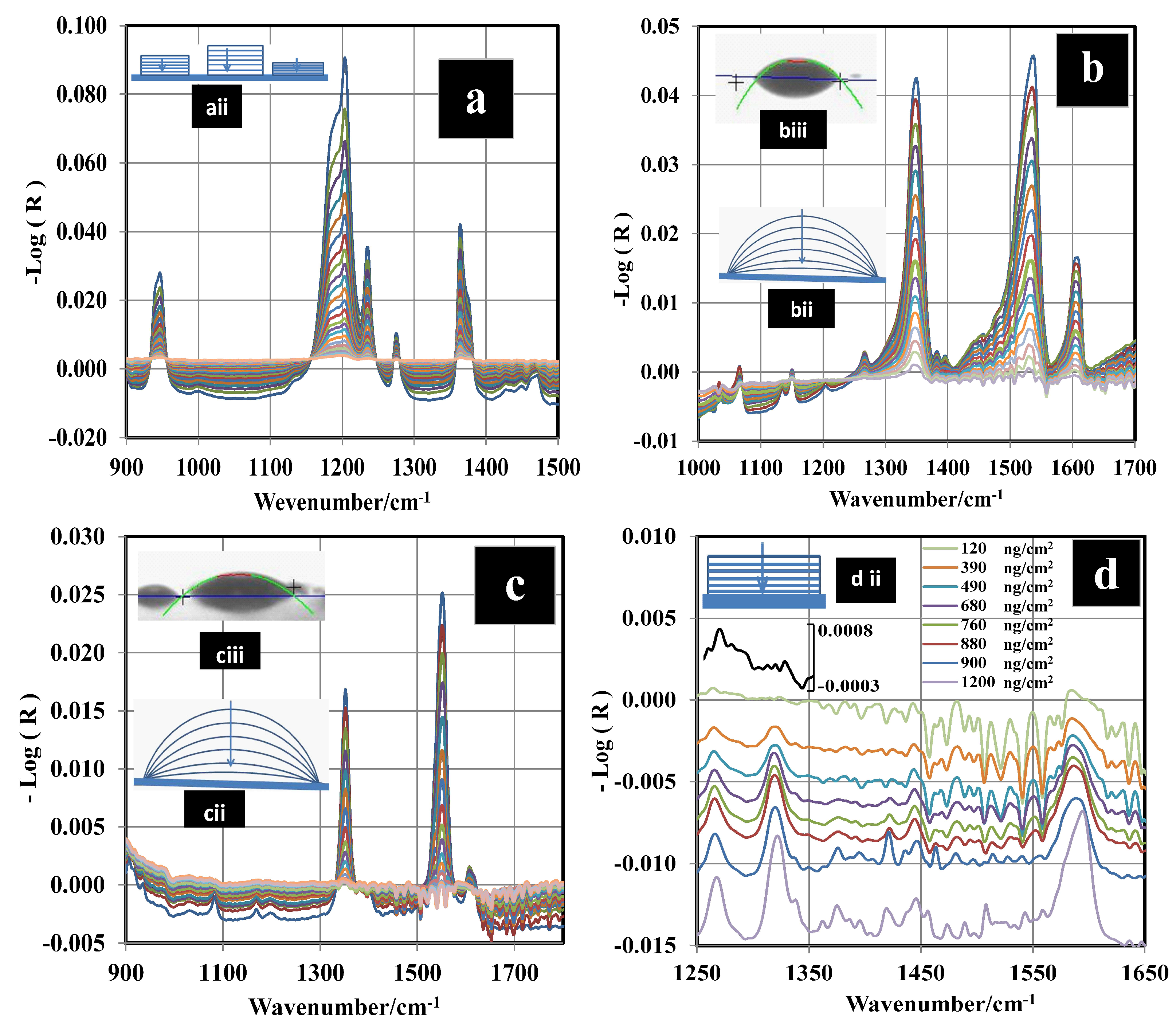 Molecules 24 03494 g002