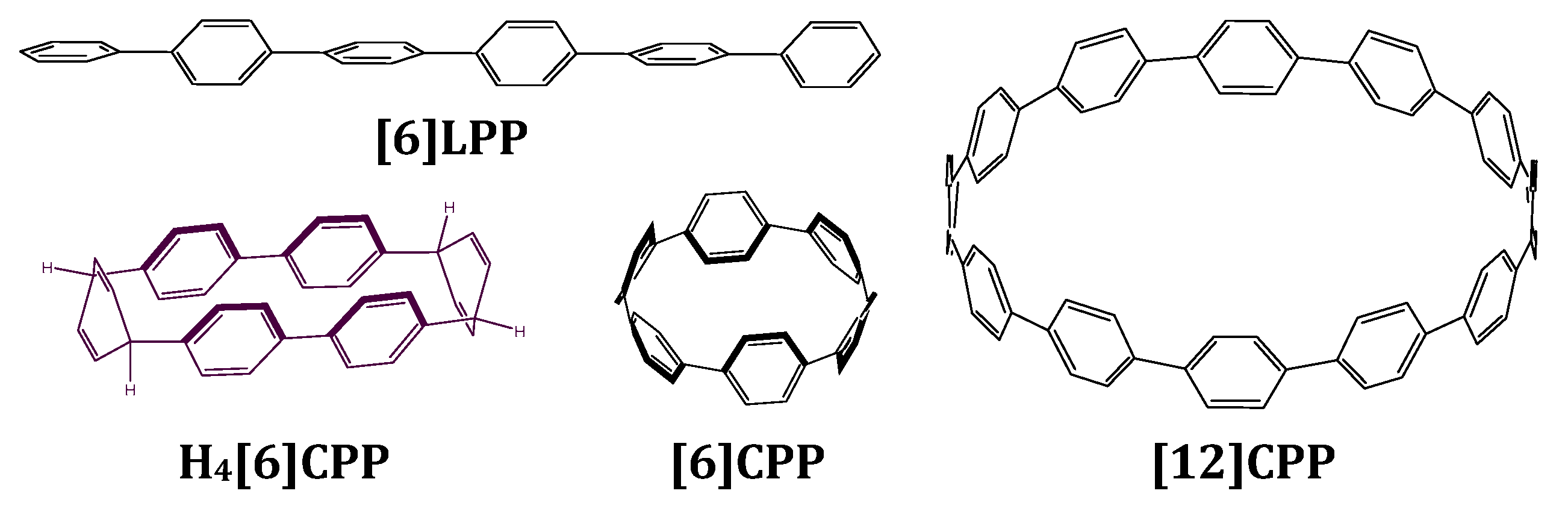 Molecules 24 03496 g001