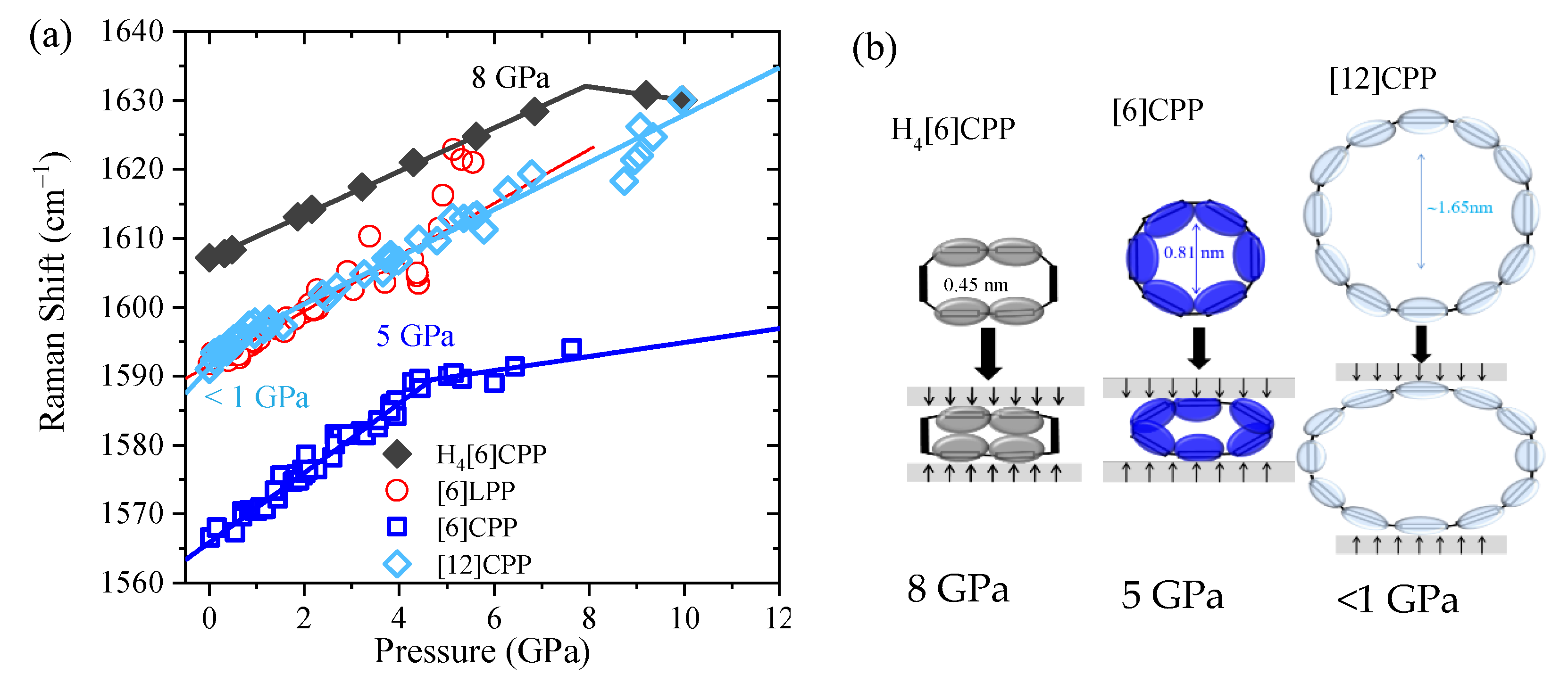 Molecules 24 03496 g006