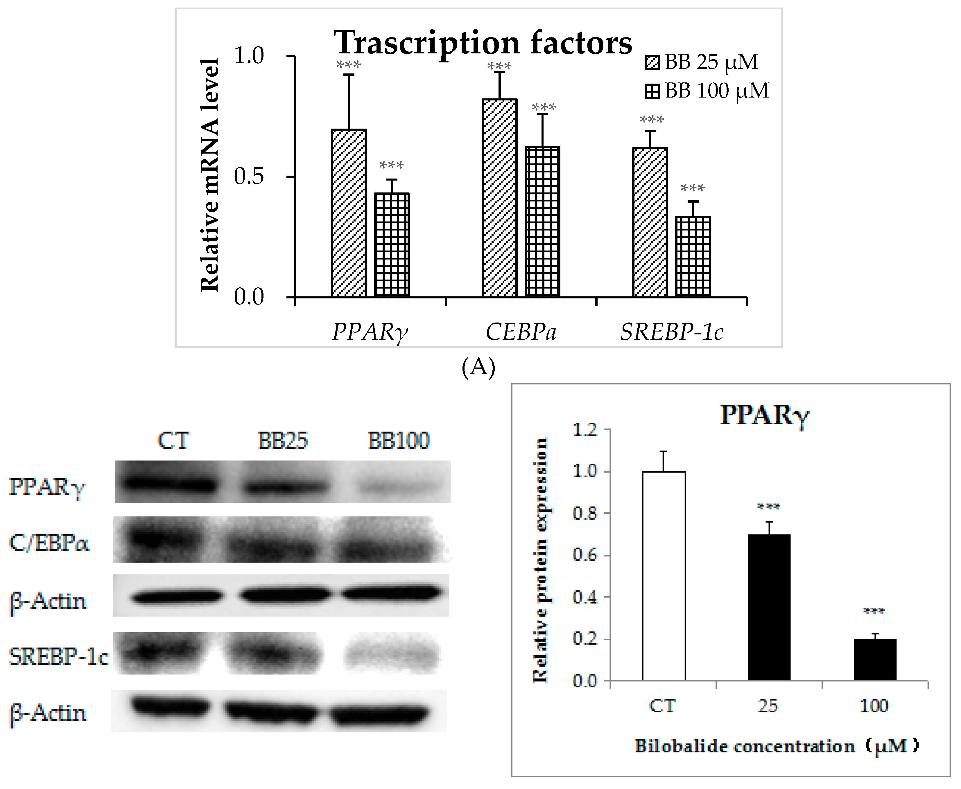 Molecules 24 03503 g004a