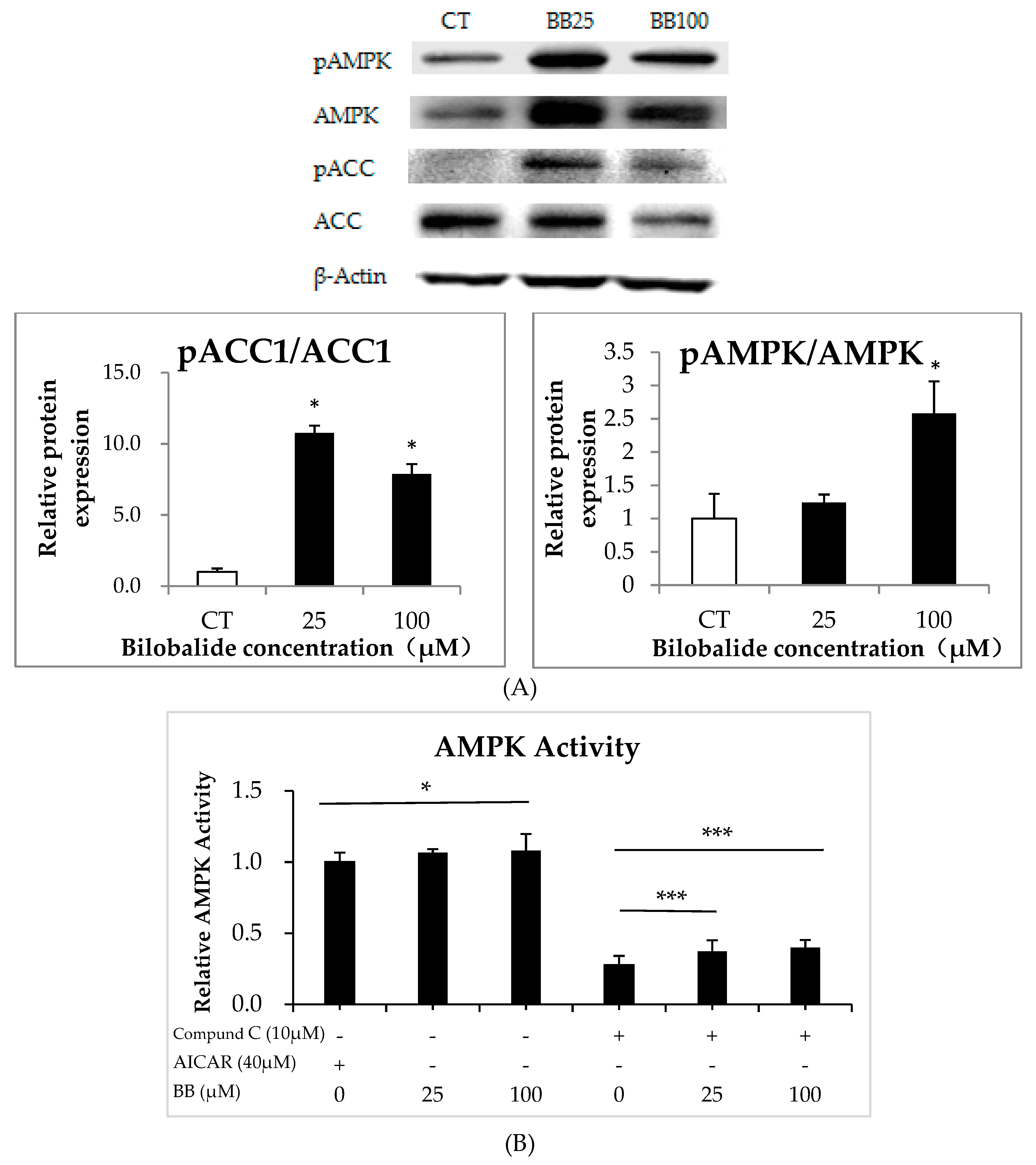 Molecules 24 03503 g007