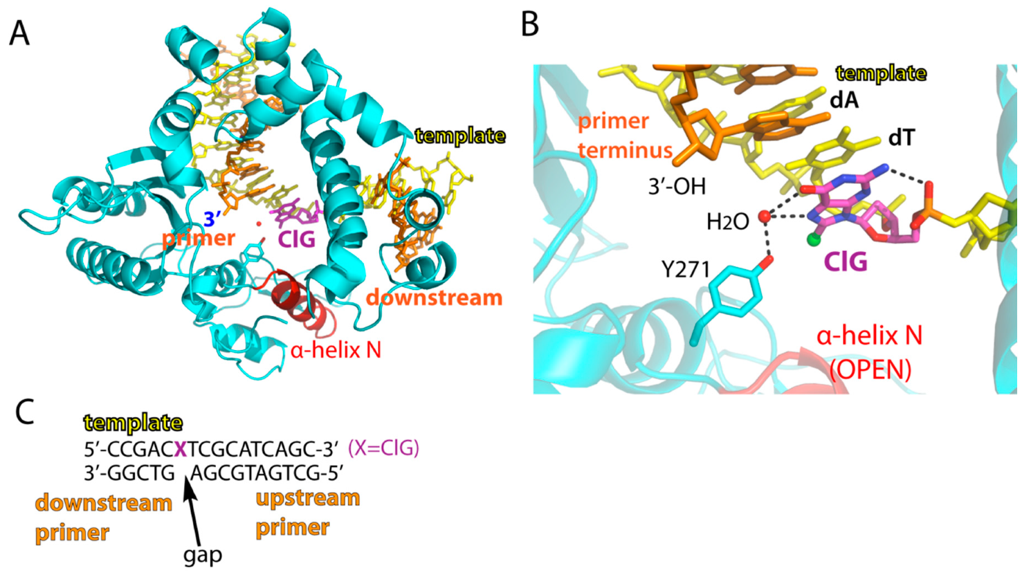 Molecules 24 03507 g002