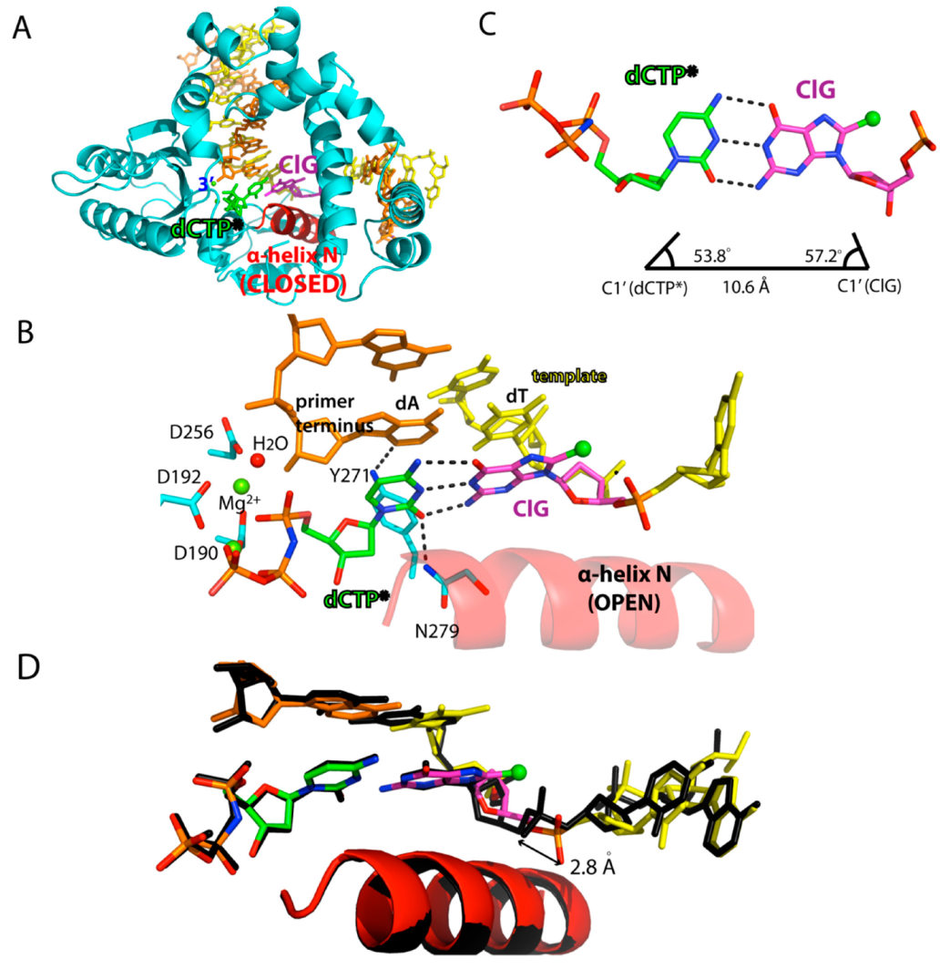 Molecules 24 03507 g003