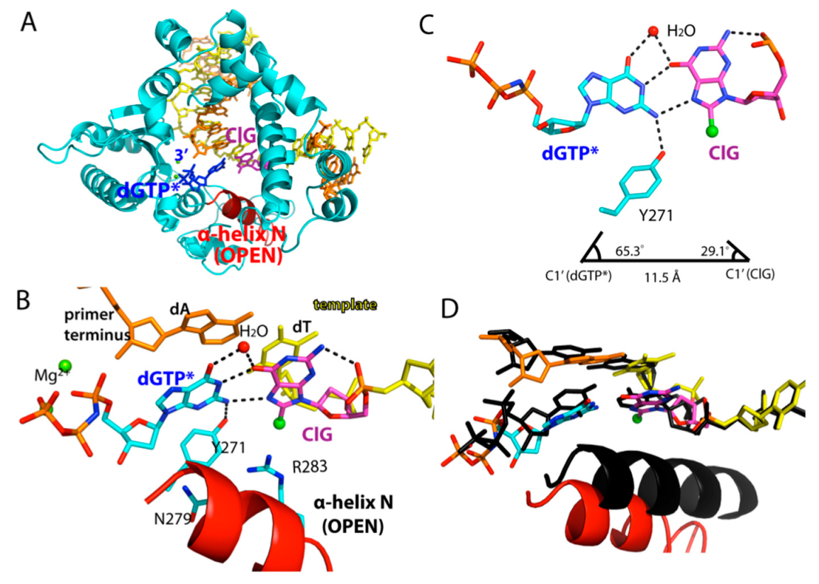 Molecules 24 03507 g004