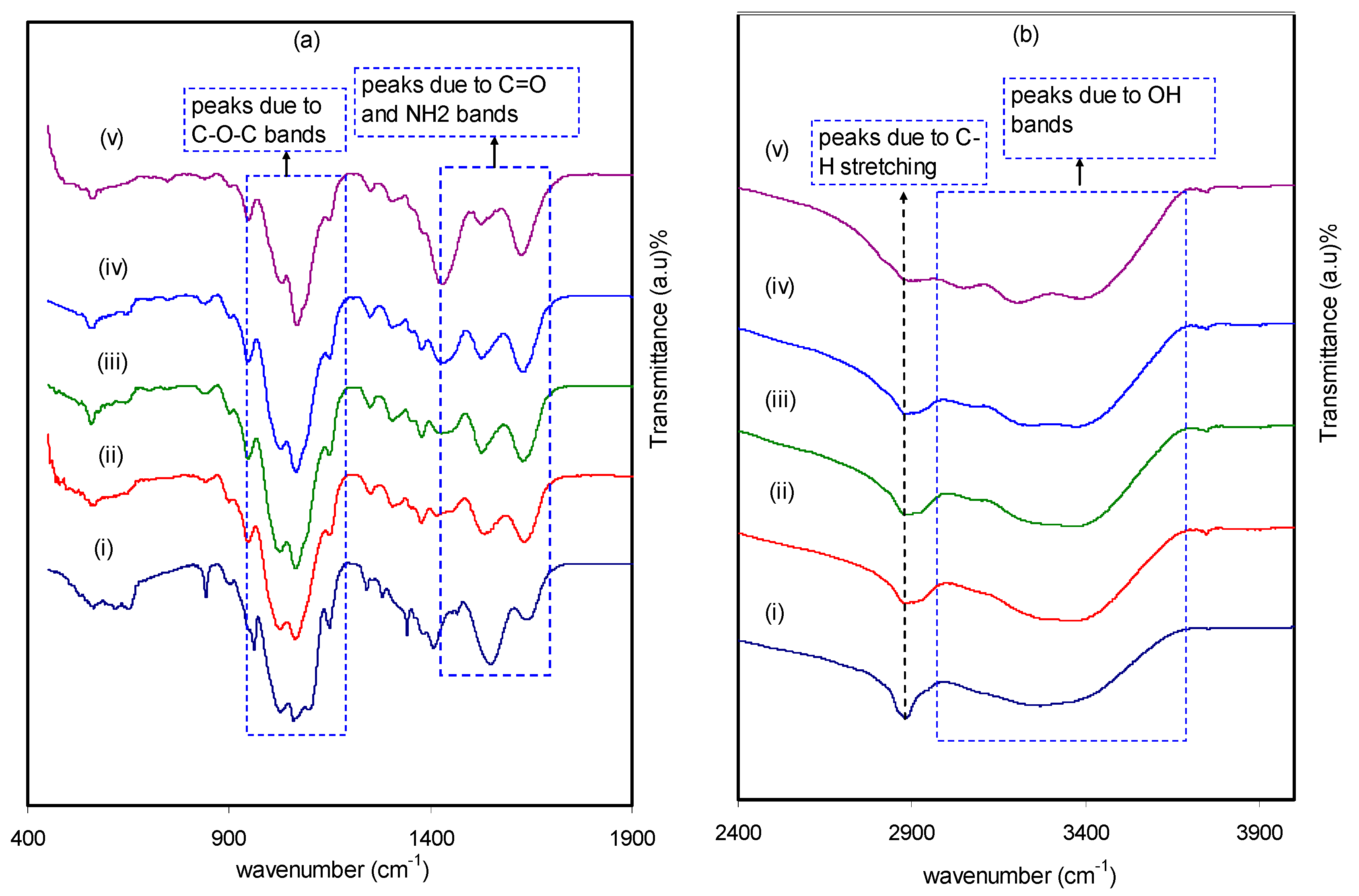 Molecules 24 03508 g001