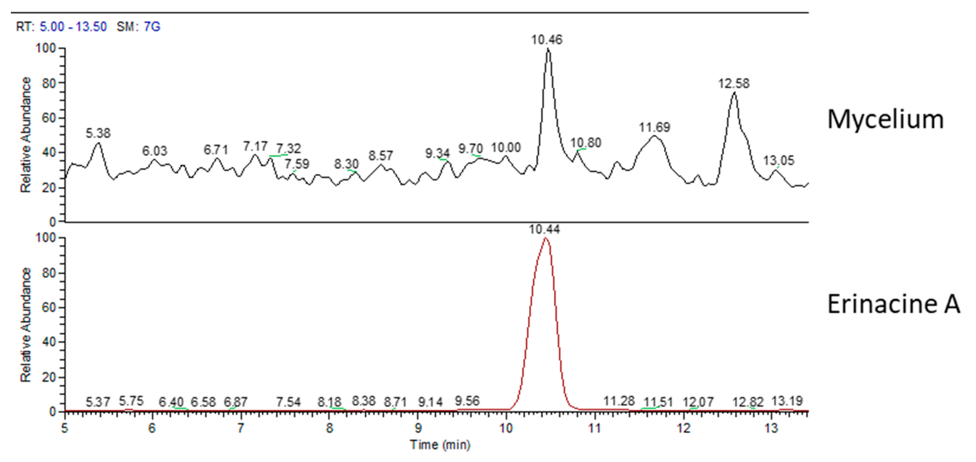Molecules 24 03511 g002