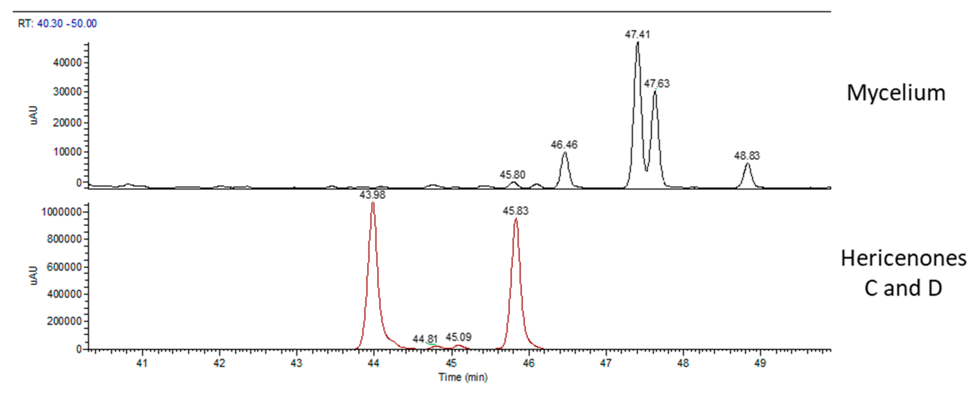Molecules 24 03511 g003
