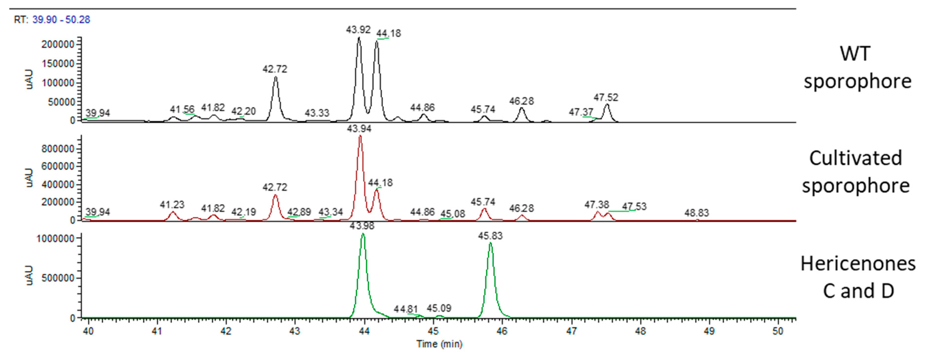 Molecules 24 03511 g005