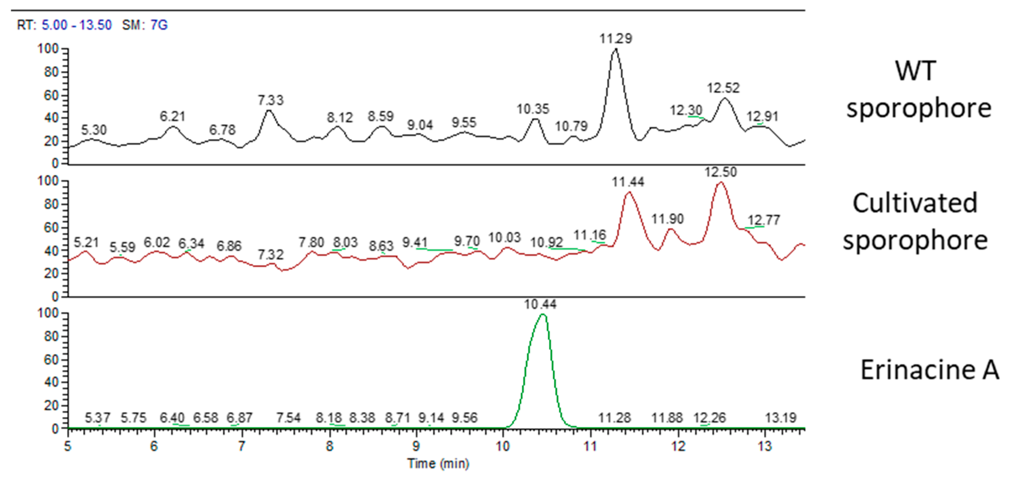 Molecules 24 03511 g006