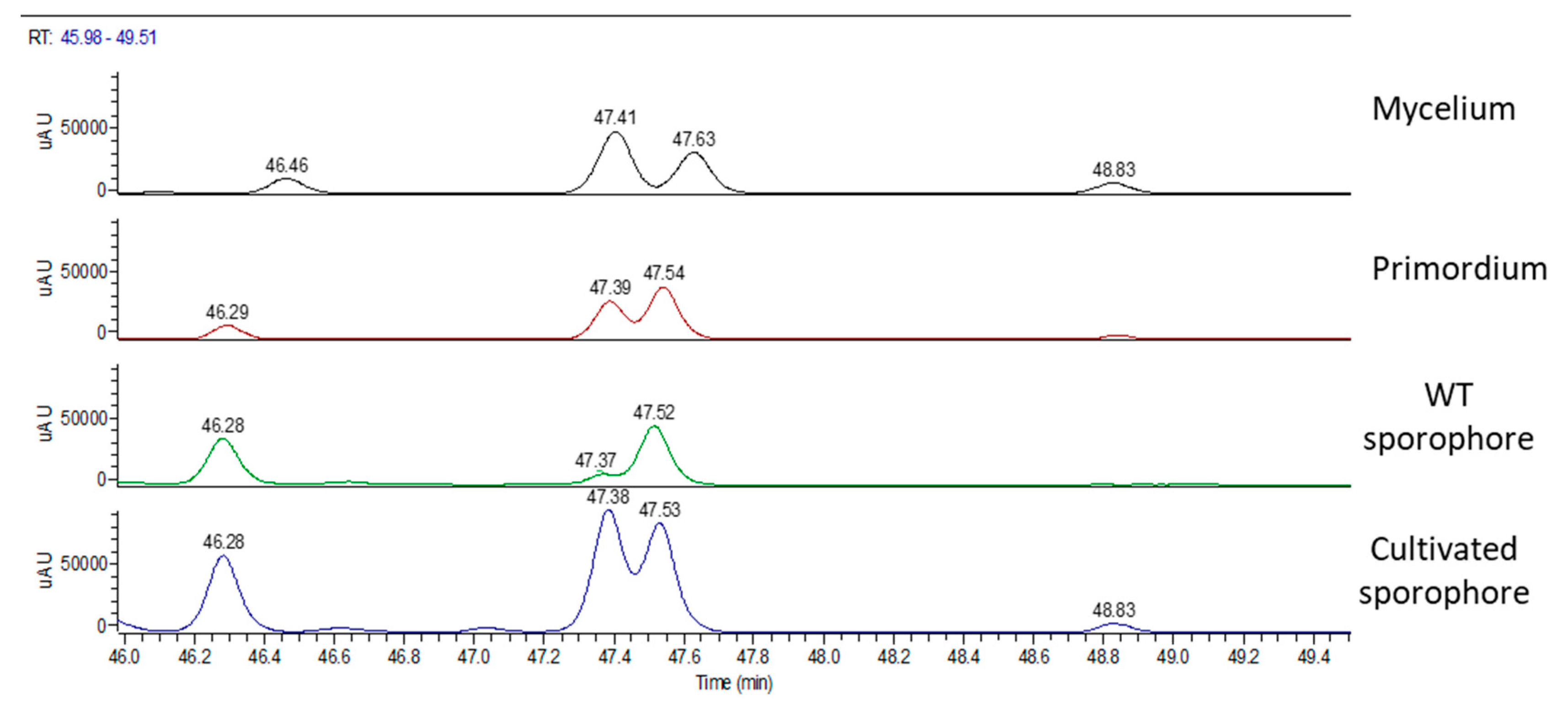 Molecules 24 03511 g009