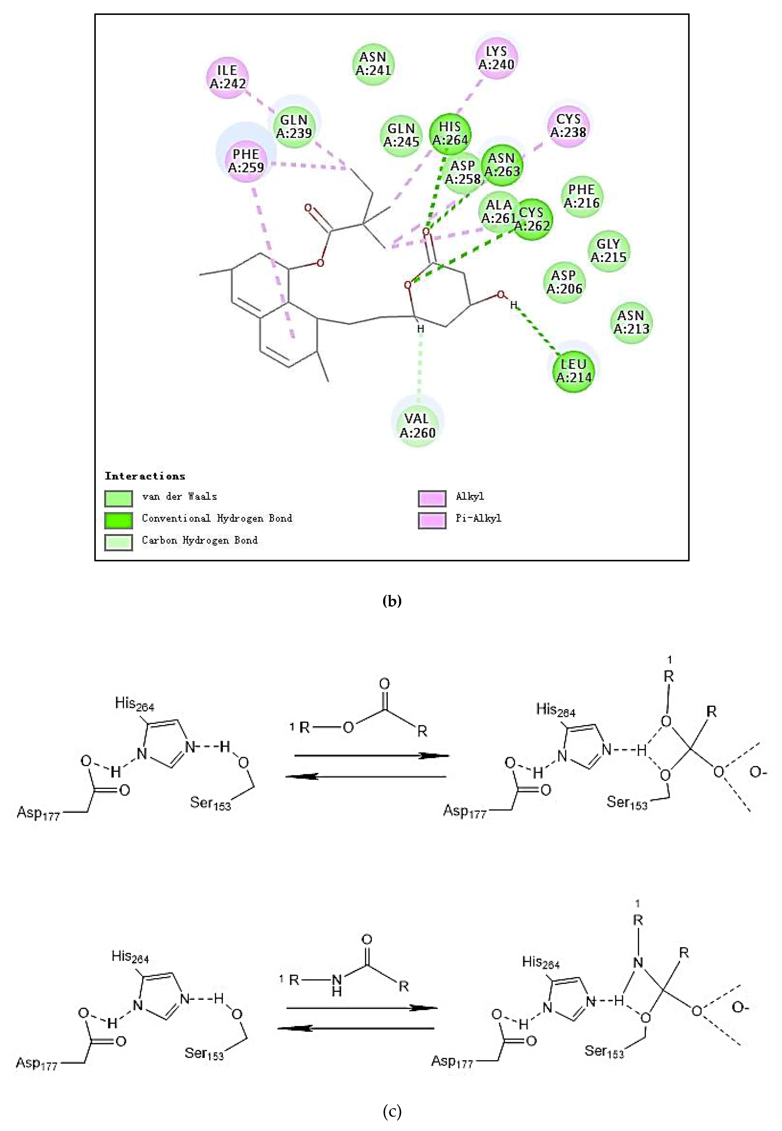 Molecules 24 03527 g002d