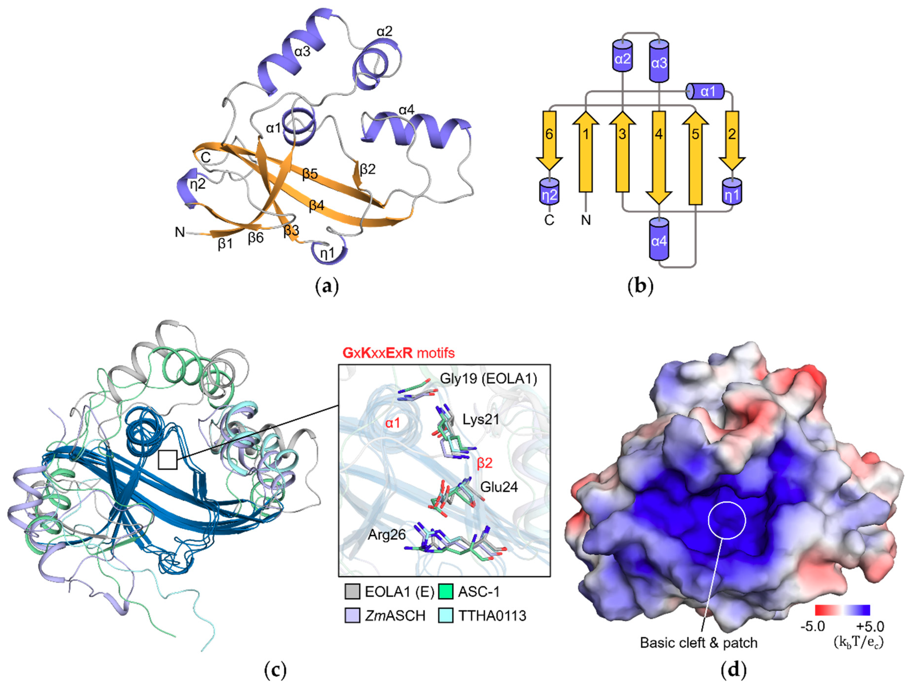 Molecules 24 03529 g001 Molecules 24 03529 g001