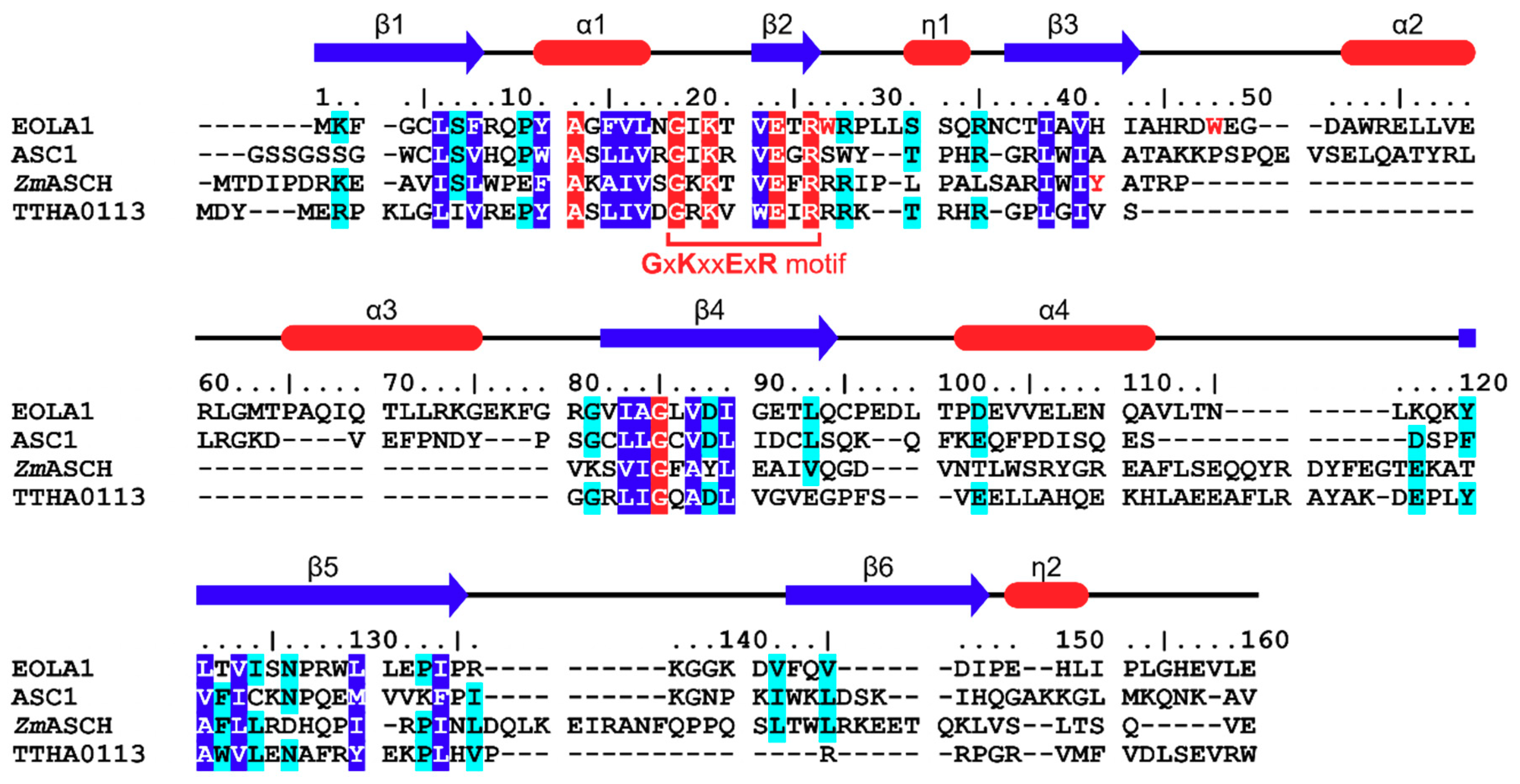 Molecules 24 03529 g002 Molecules 24 03529 g002