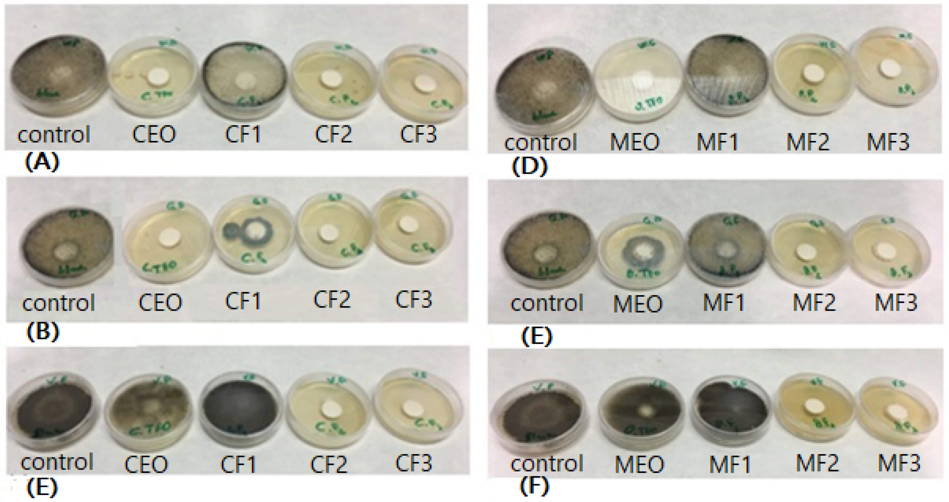 Molecules 24 03532 g002