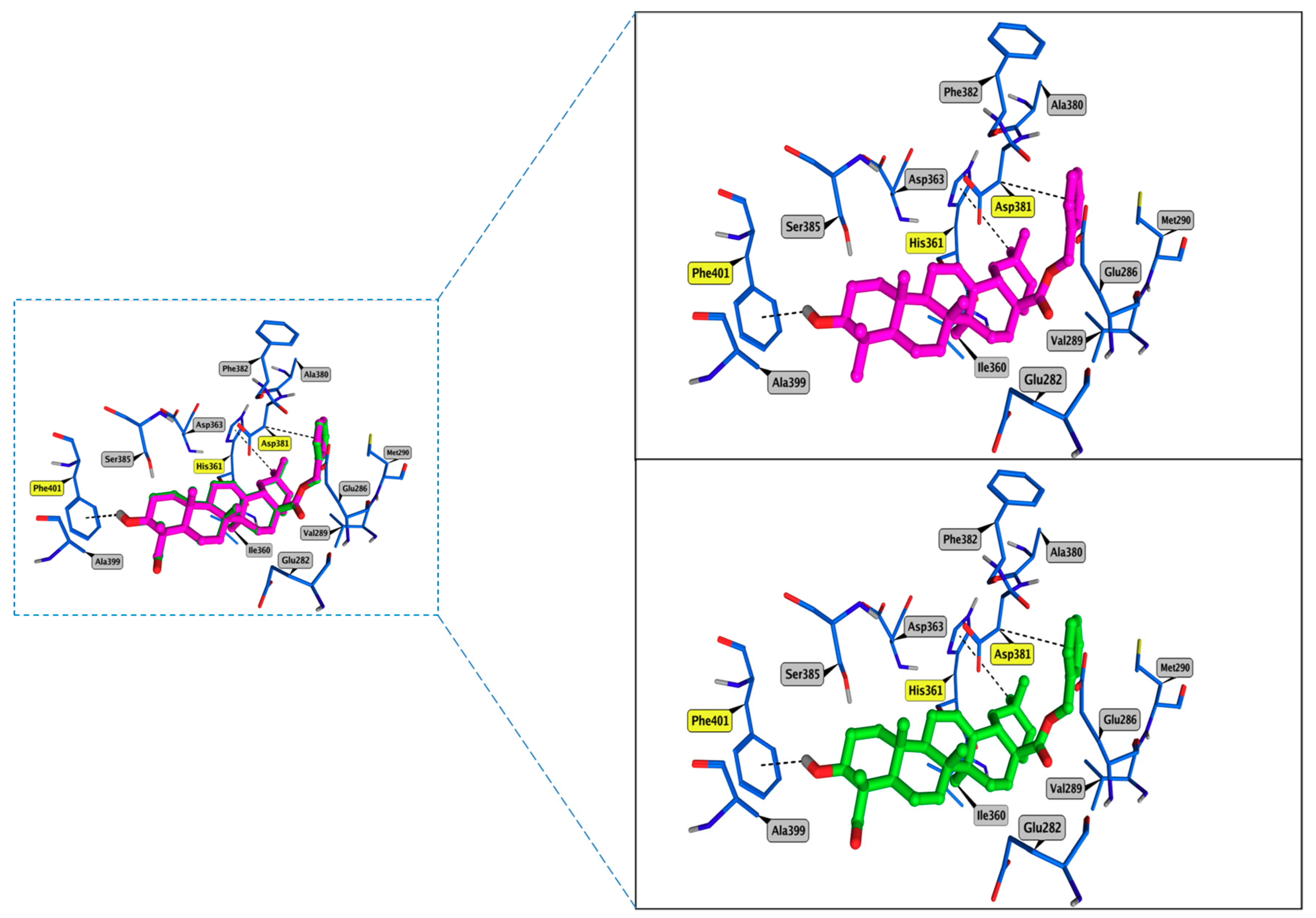 Molecules 24 03535 g003
