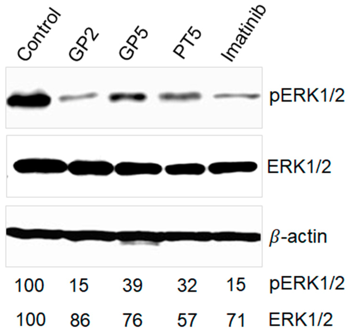 Molecules 24 03535 g004