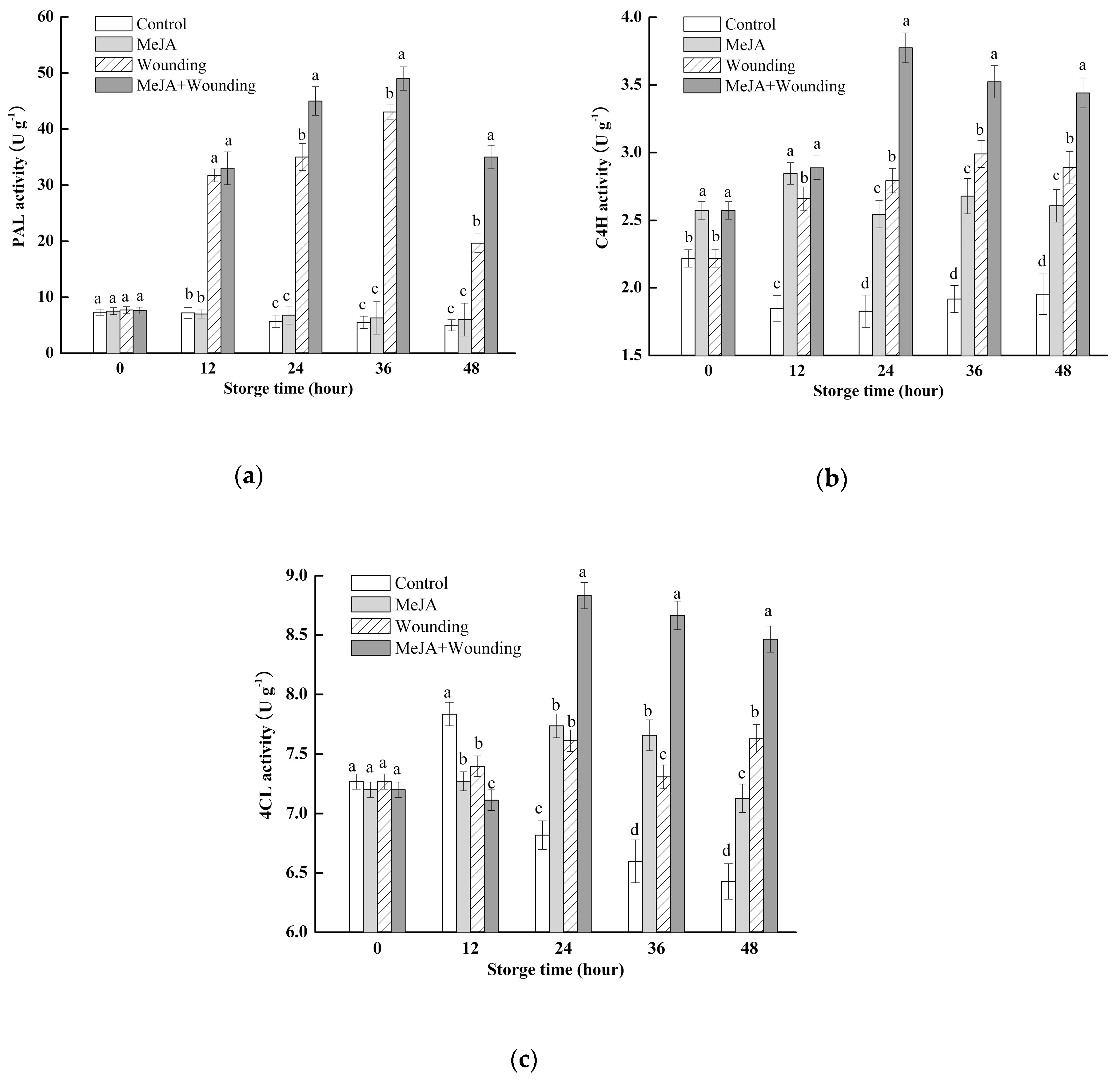 Molecules 24 03537 g005 Molecules 24 03537 g005