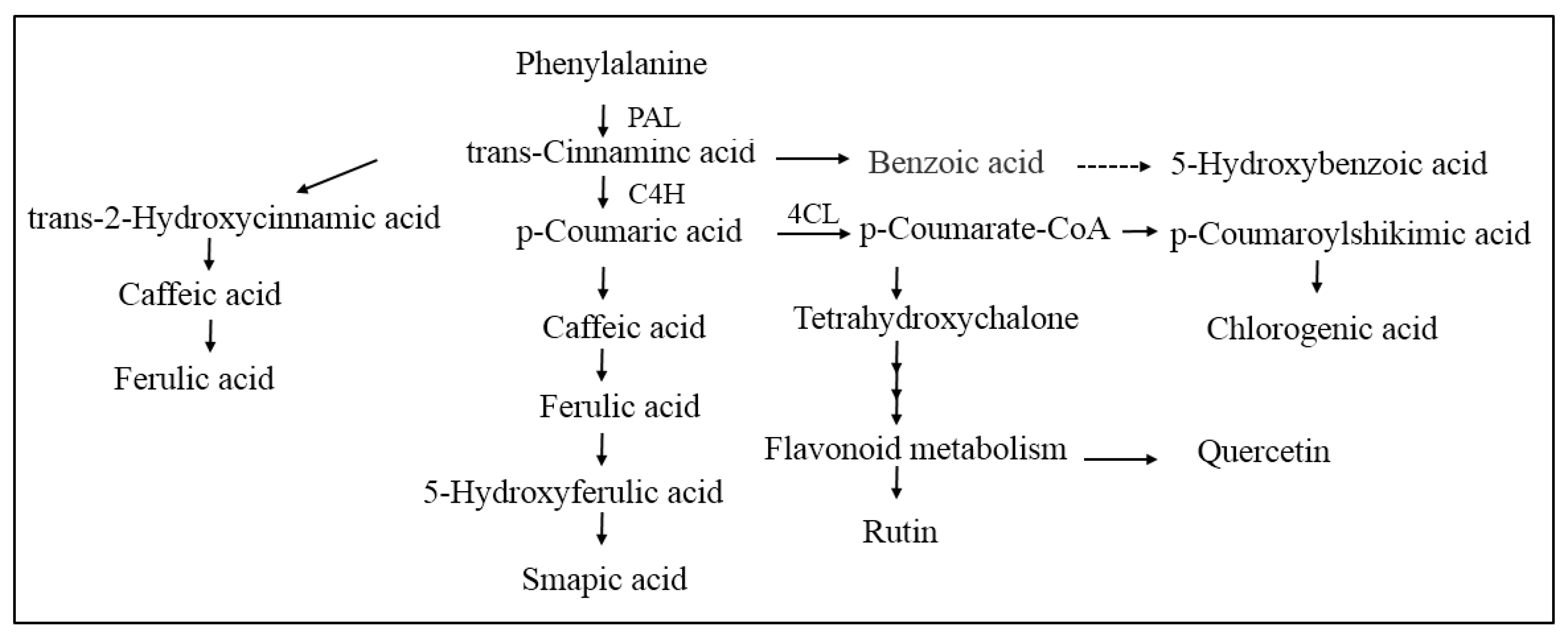 Molecules 24 03537 g009 Molecules 24 03537 g009