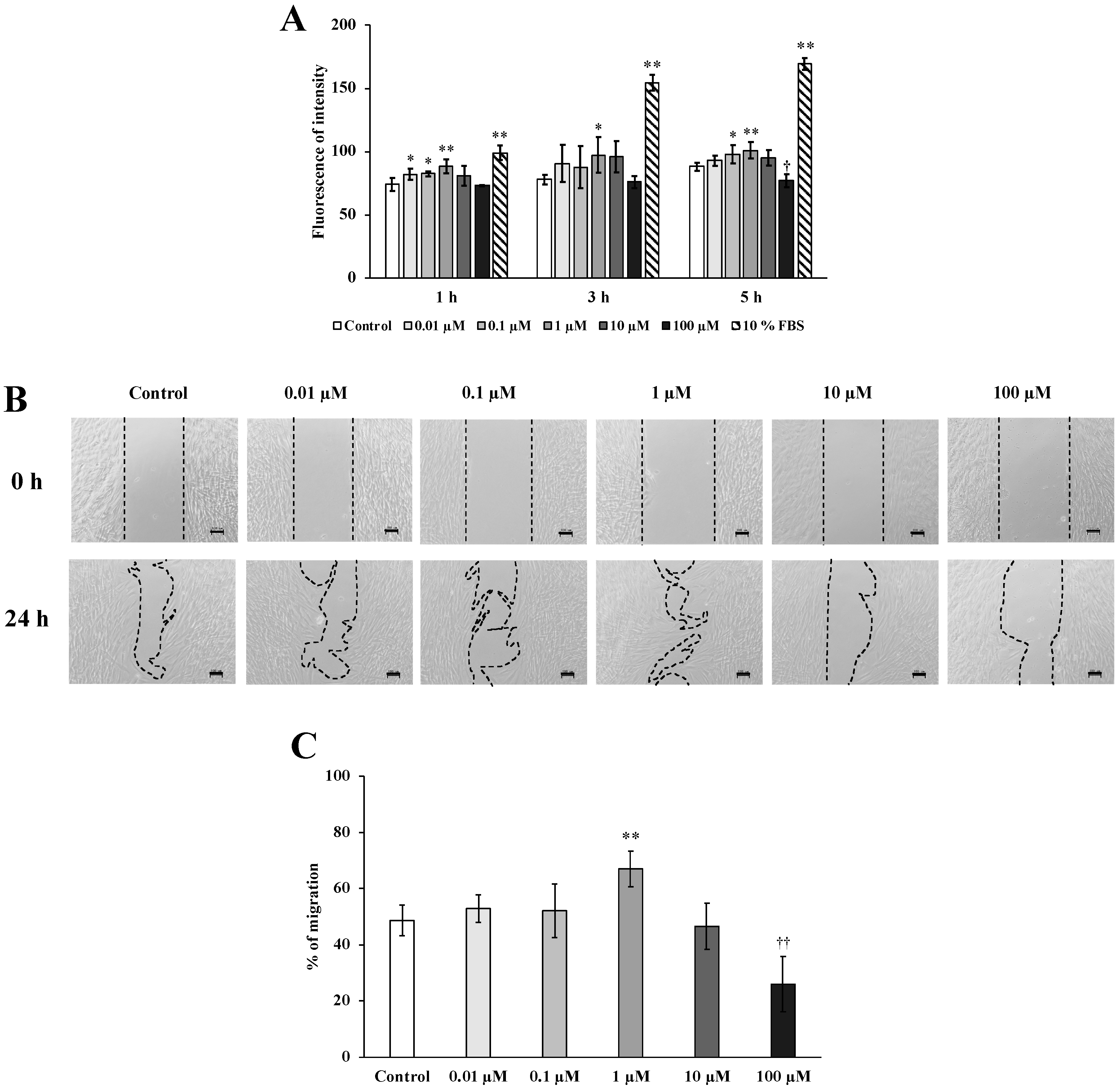 Molecules 24 03542 g002