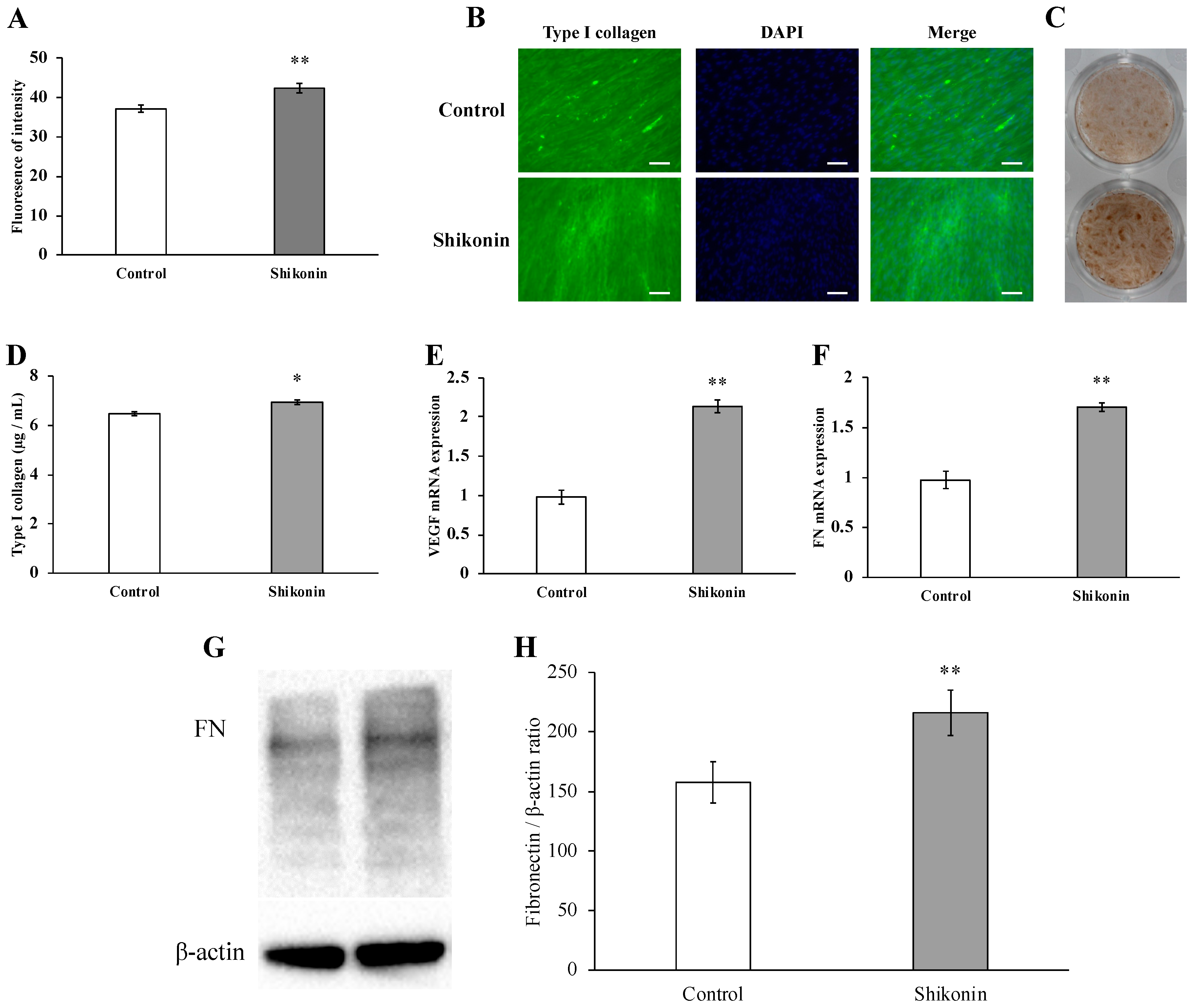 Molecules 24 03542 g003