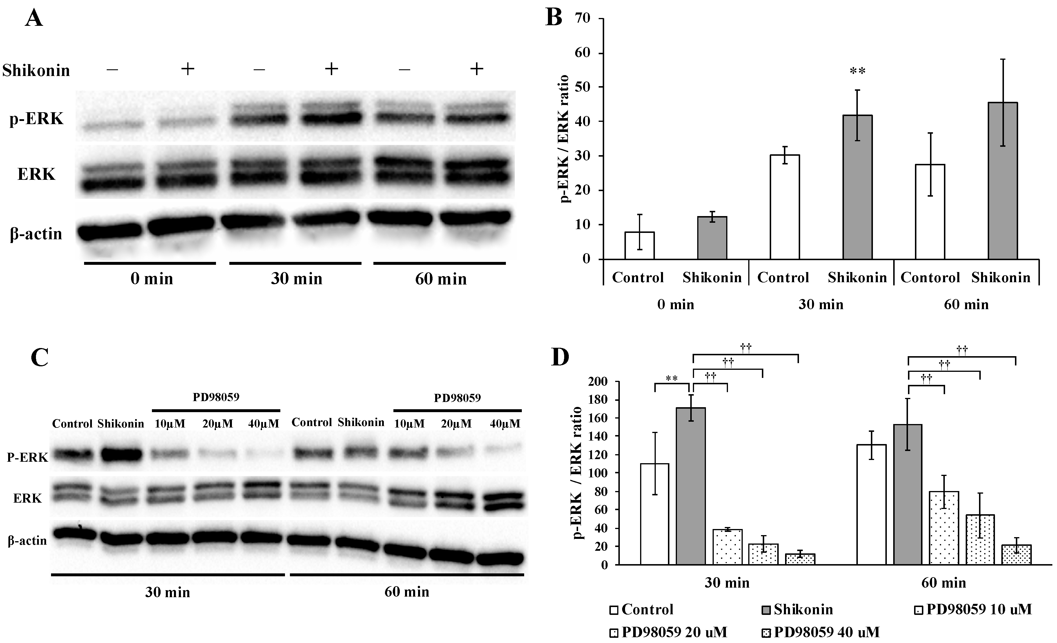 Molecules 24 03542 g004