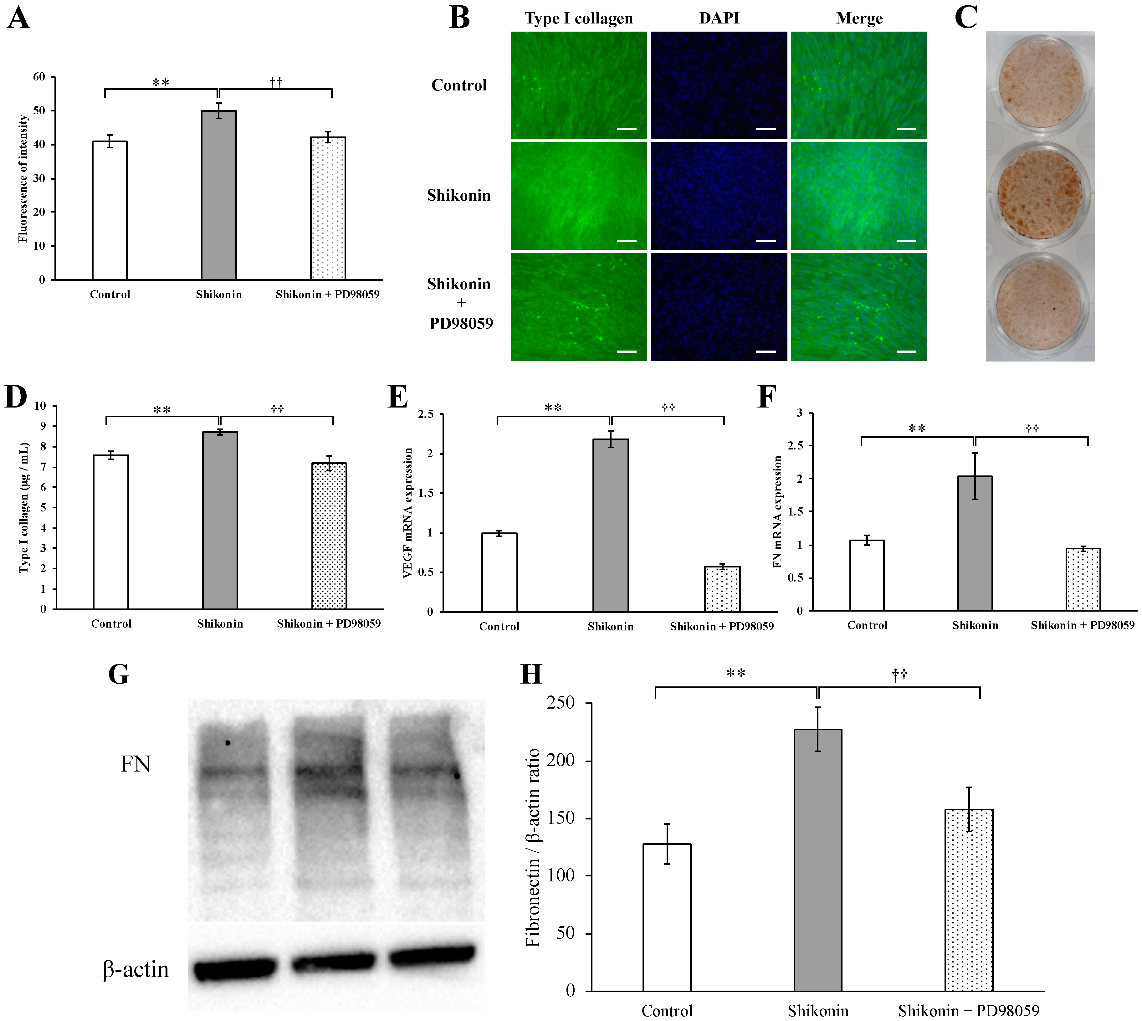 Molecules 24 03542 g006