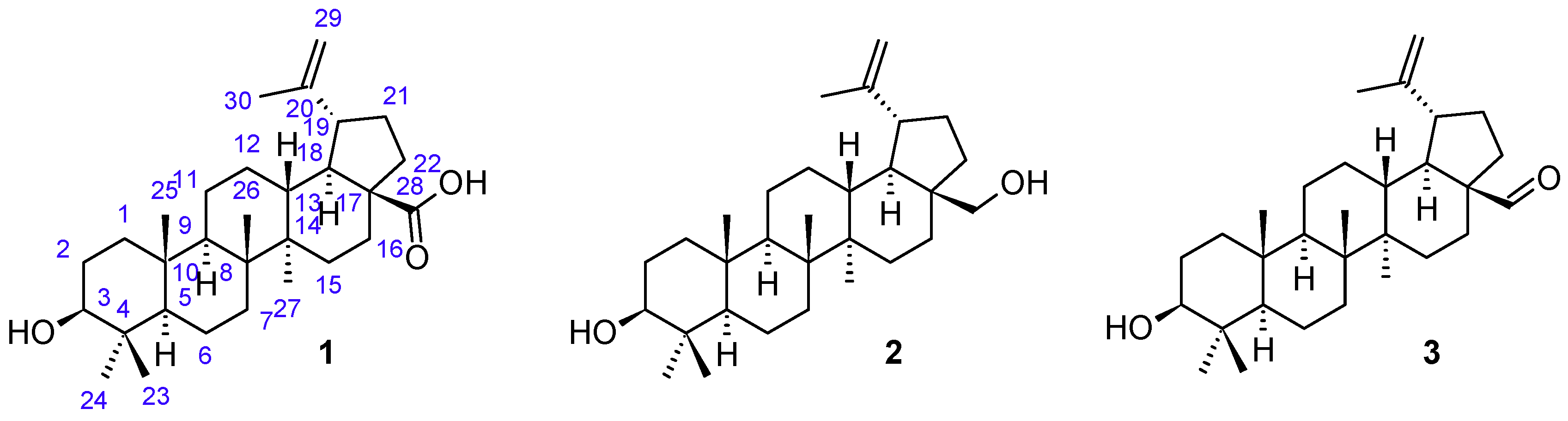 Molecules 24 03546 g001