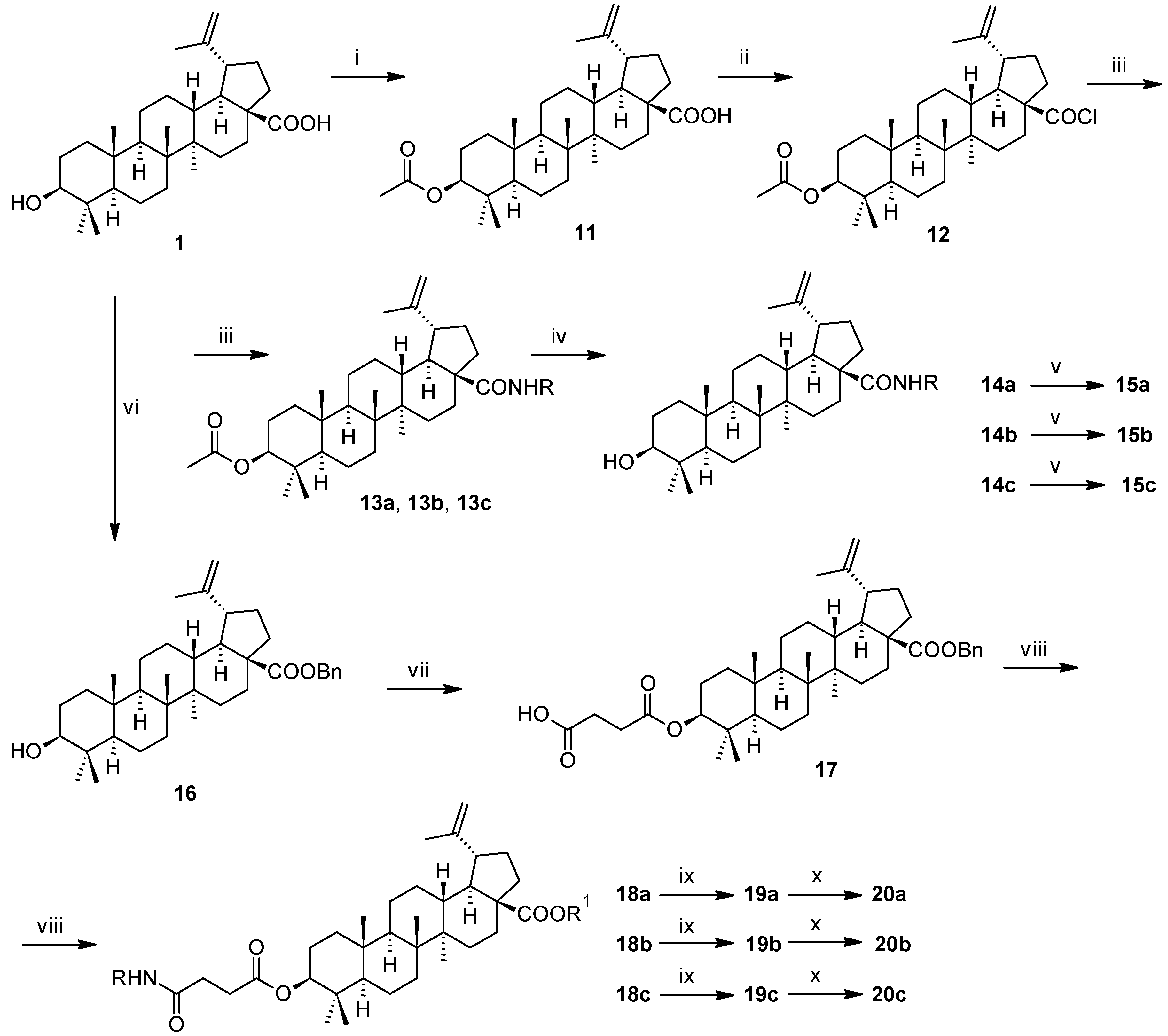 Molecules 24 03546 sch003