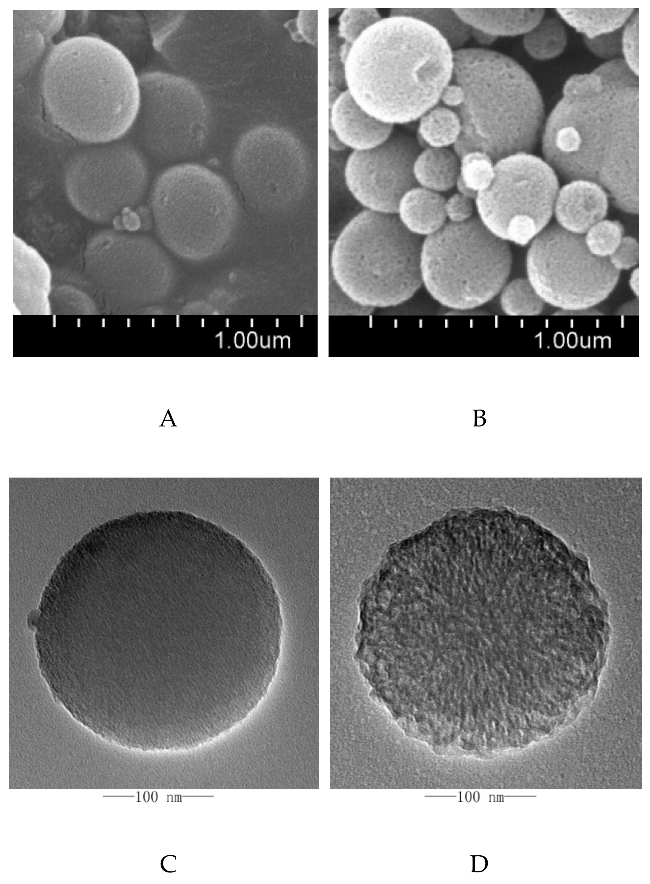 Molecules 24 03552 g003a