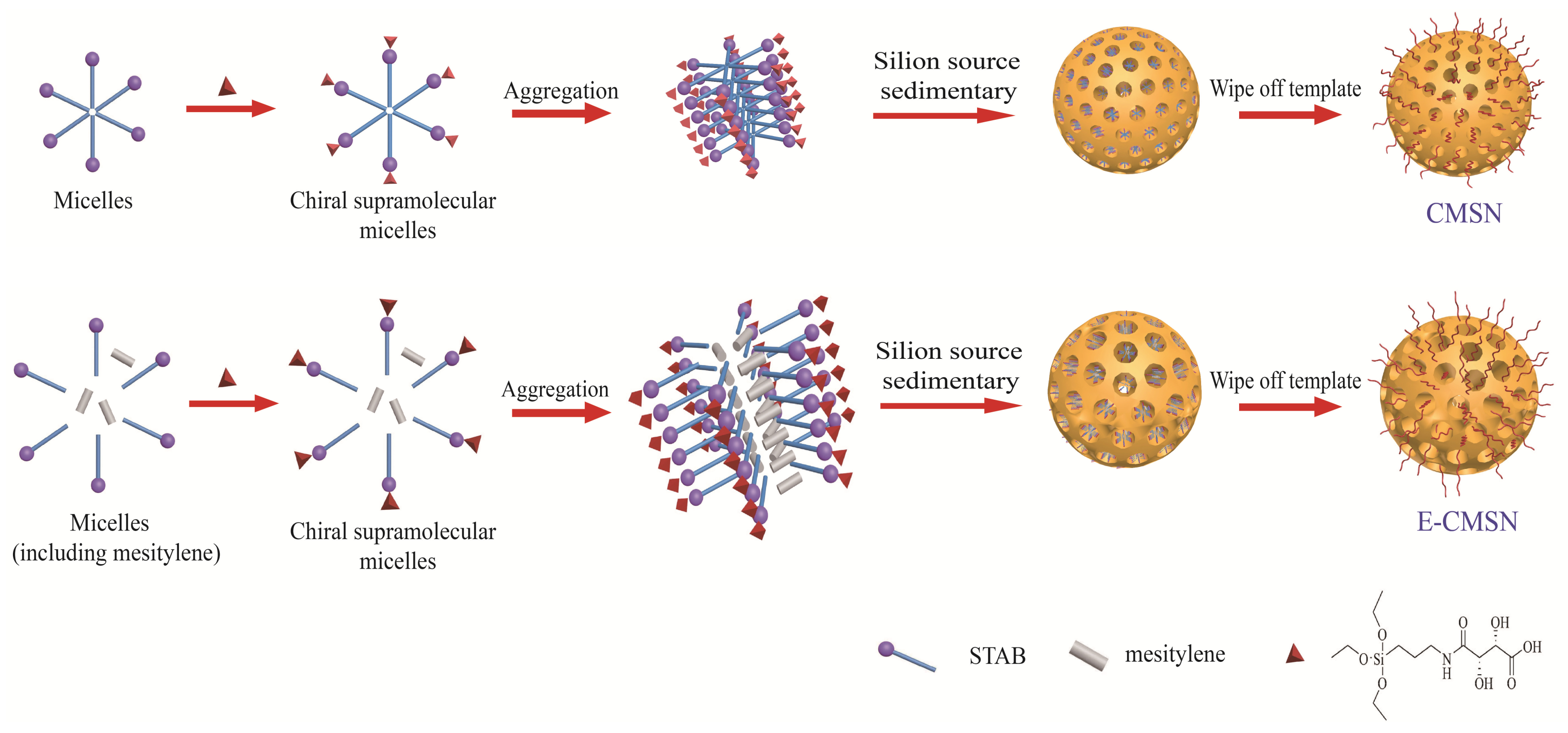 Molecules 24 03552 g011
