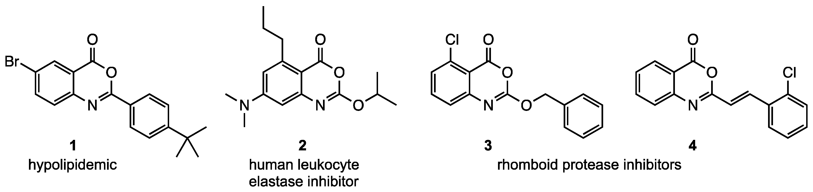 Molecules 24 03555 g001