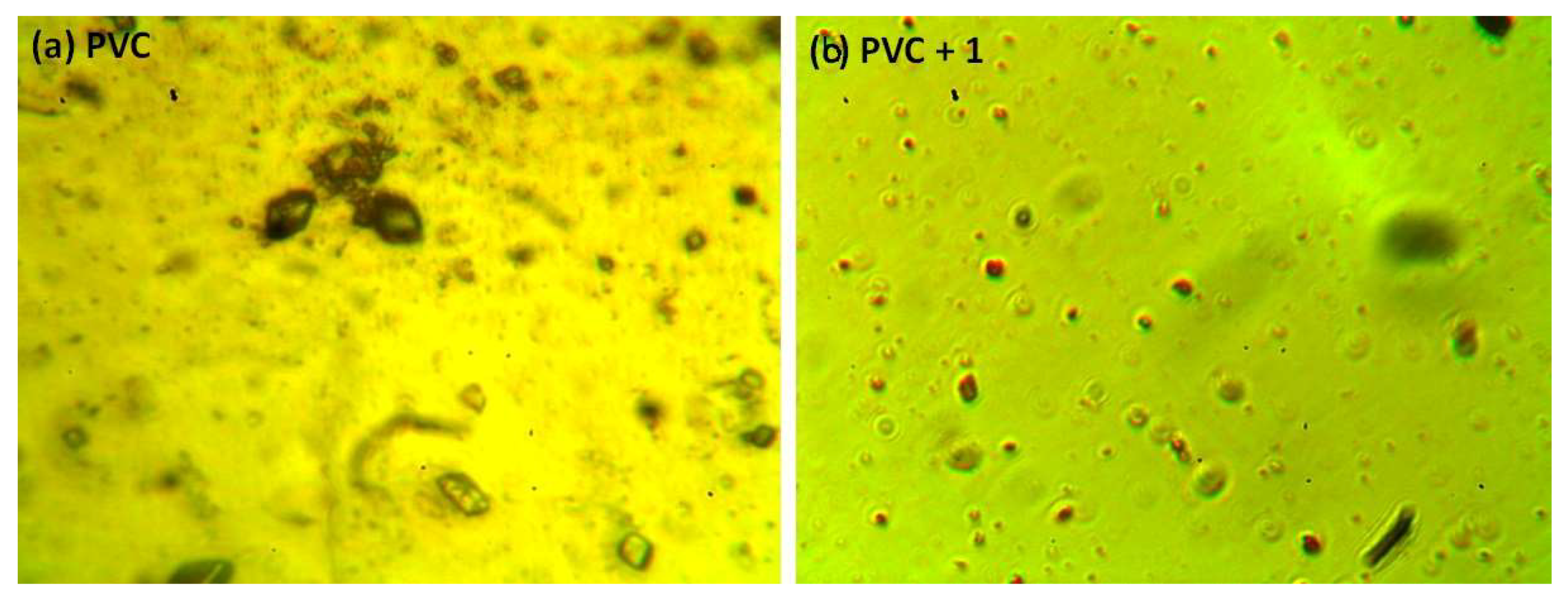 Molecules 24 03557 g009