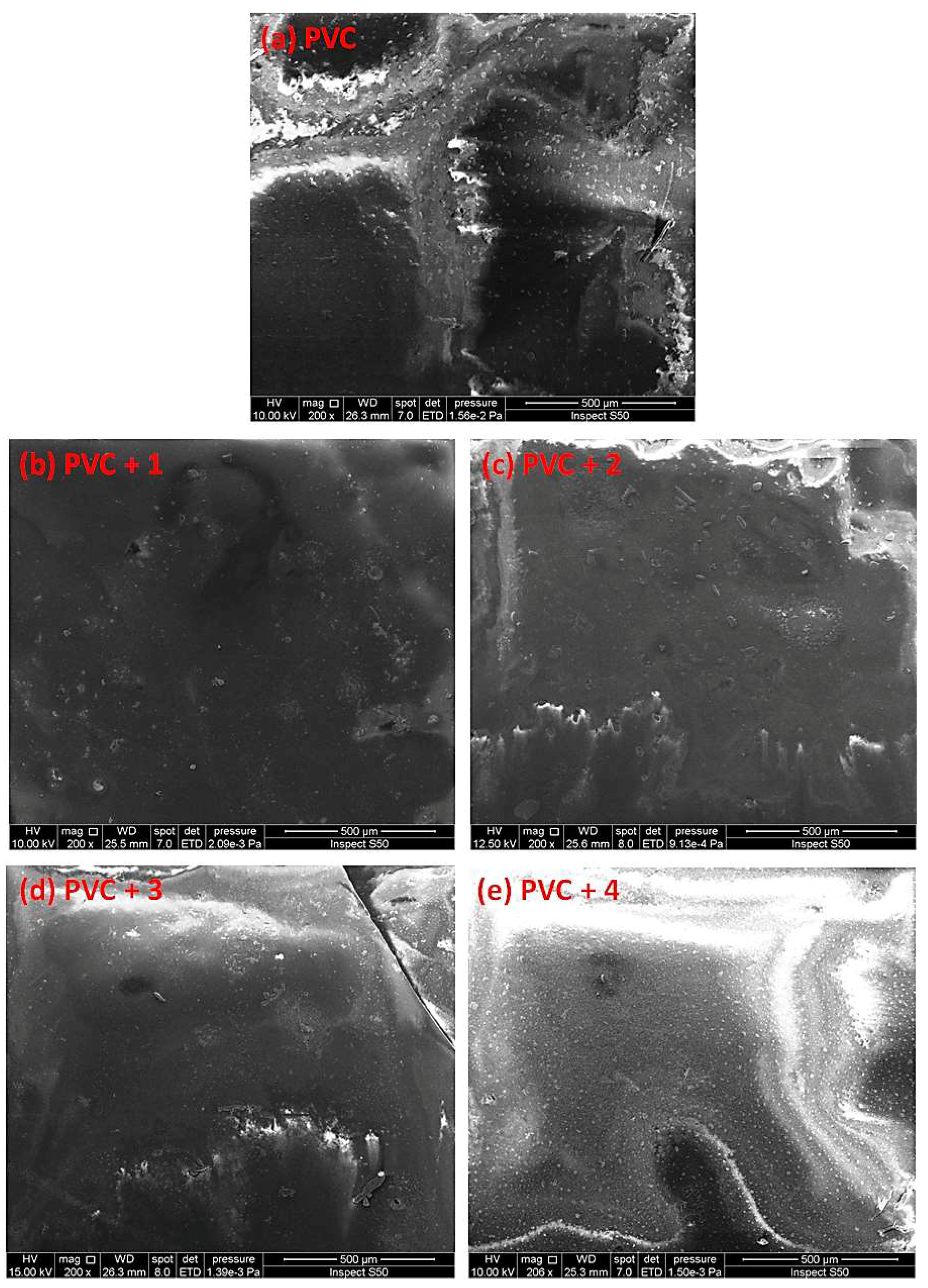 Molecules 24 03557 g012
