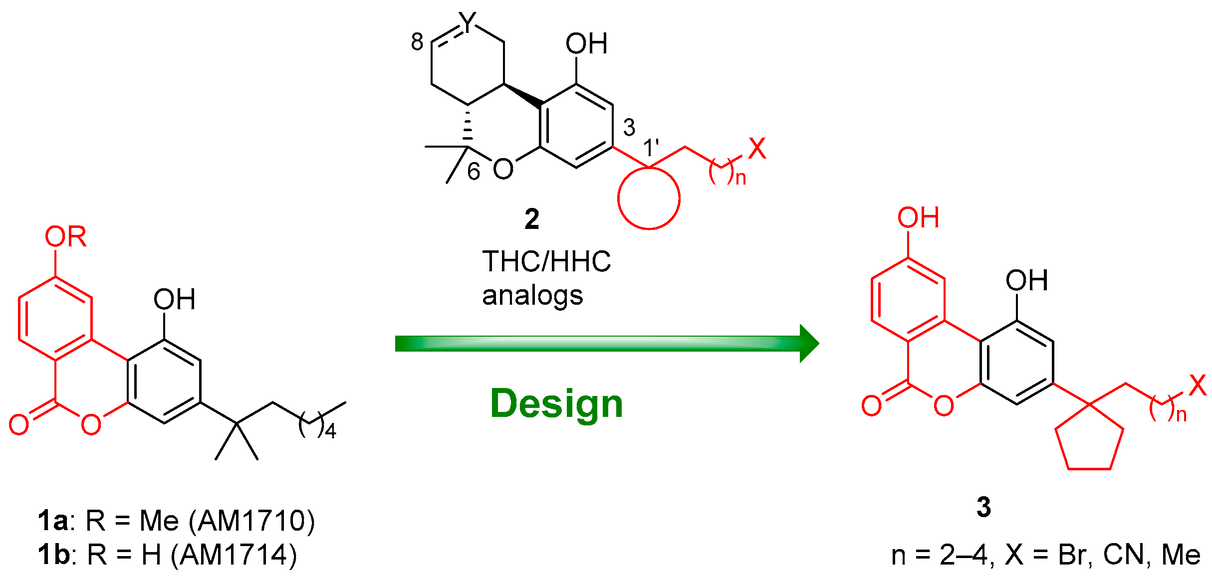 Molecules 24 03559 g001