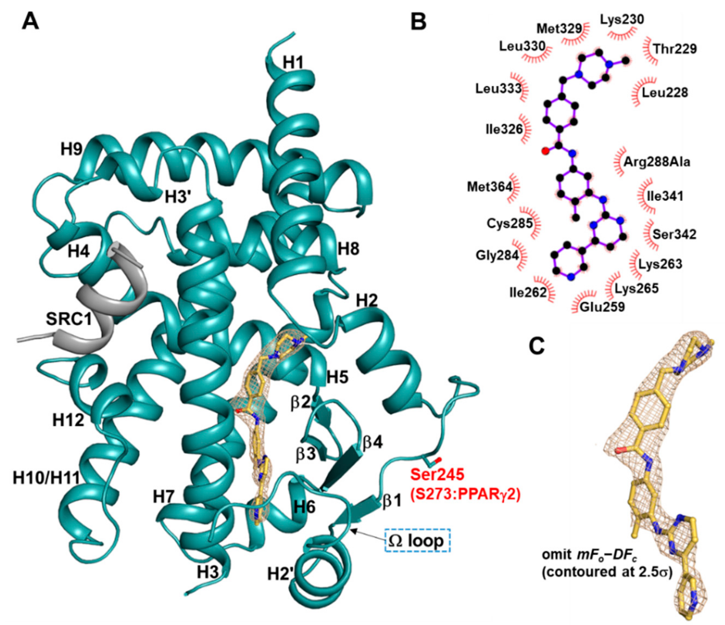 Molecules 24 03562 g002