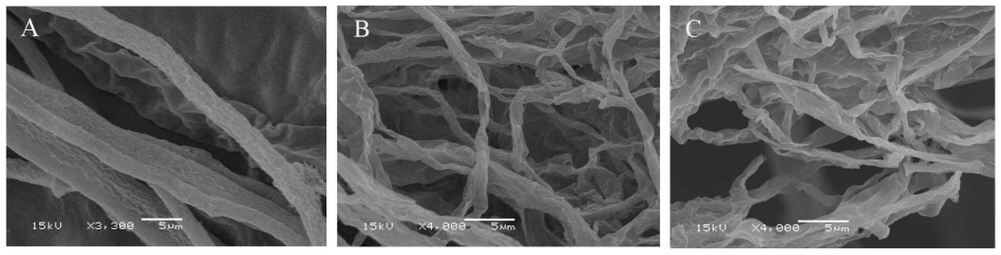 Molecules 24 03576 g003