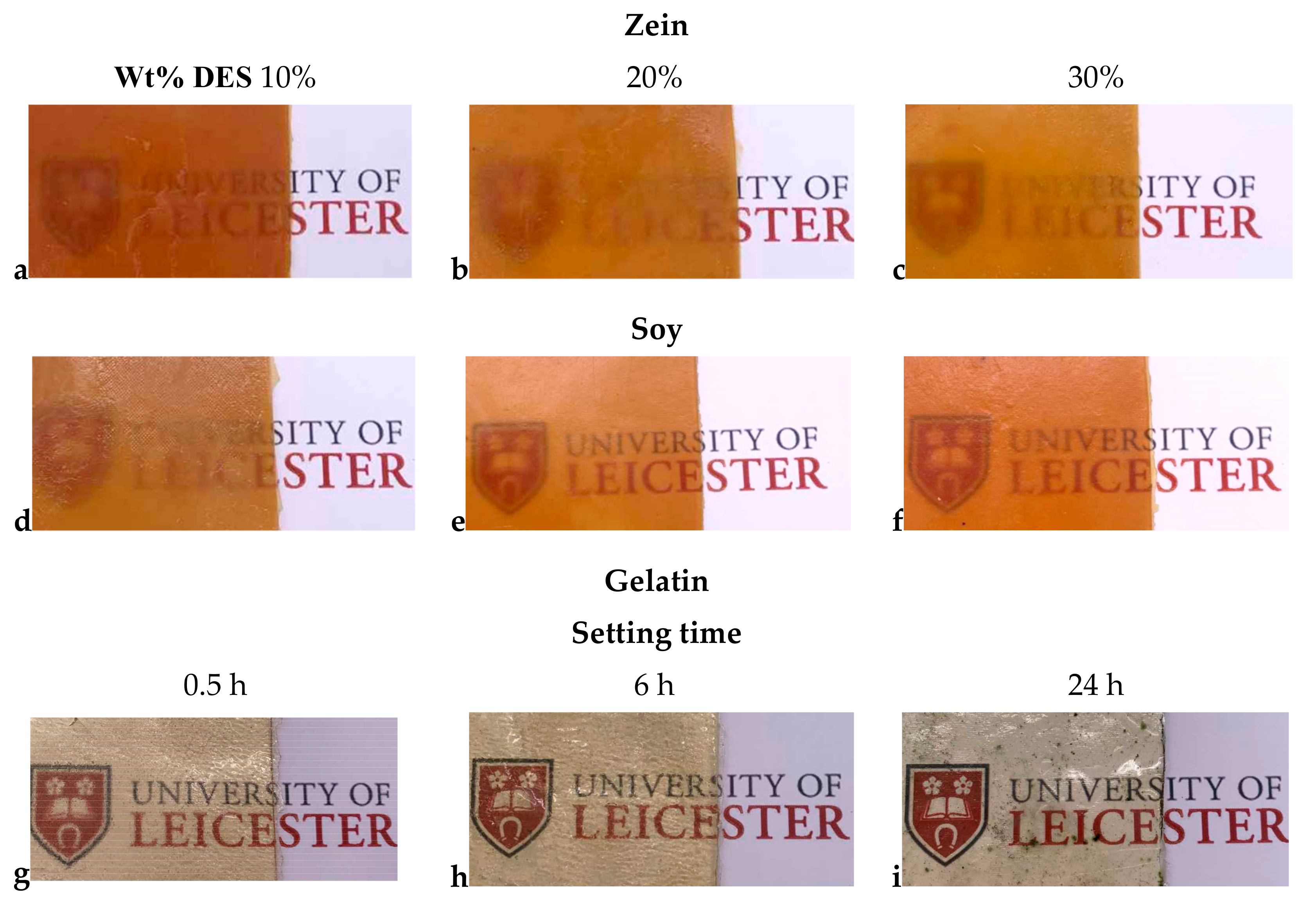 Molecules 24 03583 g001