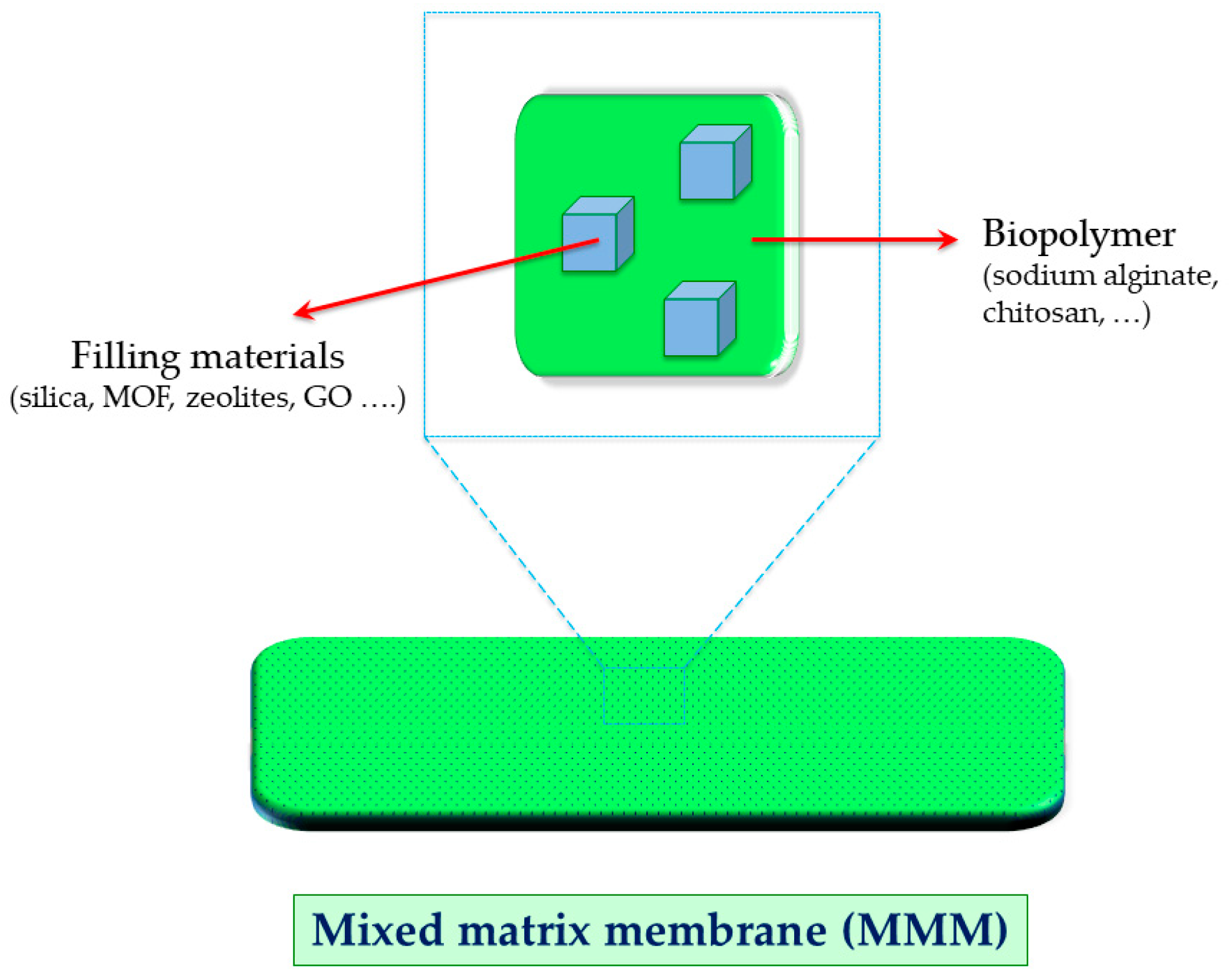 Molecules 24 03584 g002
